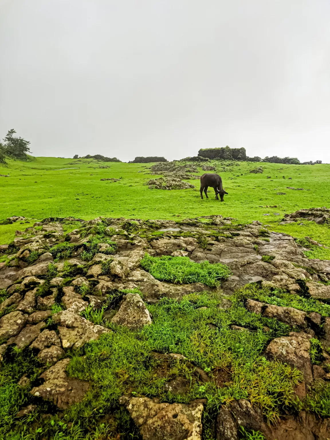 Photo of Visapur Fort By Pavan Singh