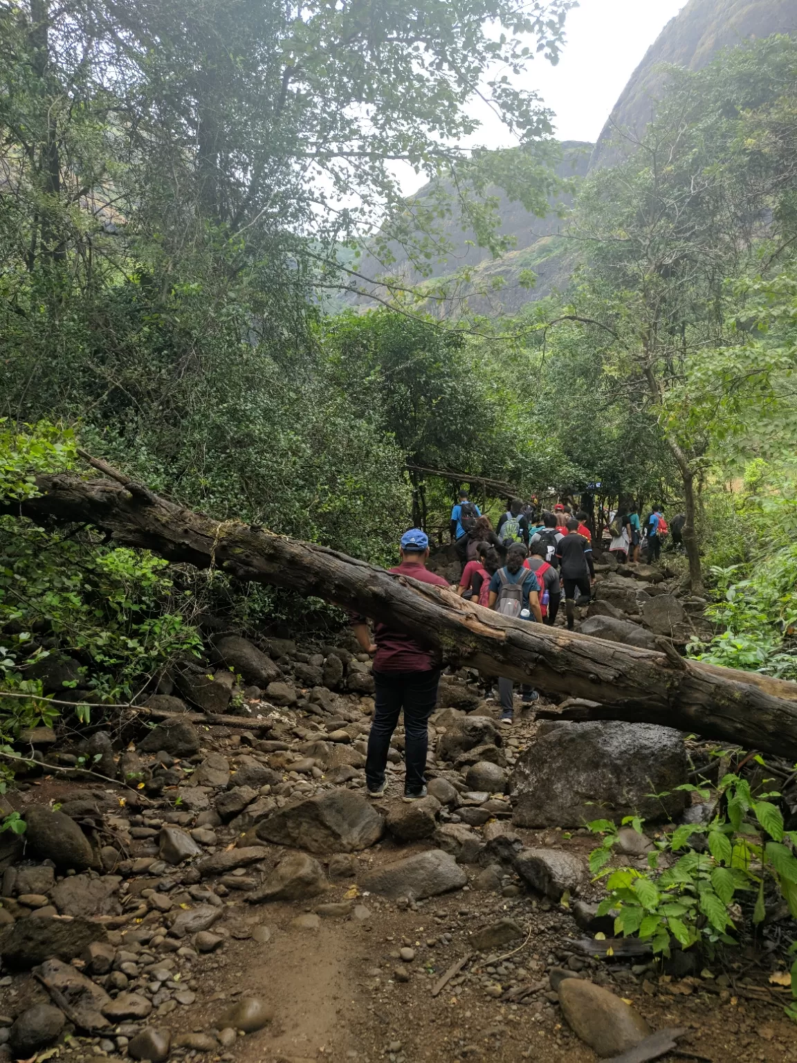 Photo of Devkund Waterfall By Pavan Singh