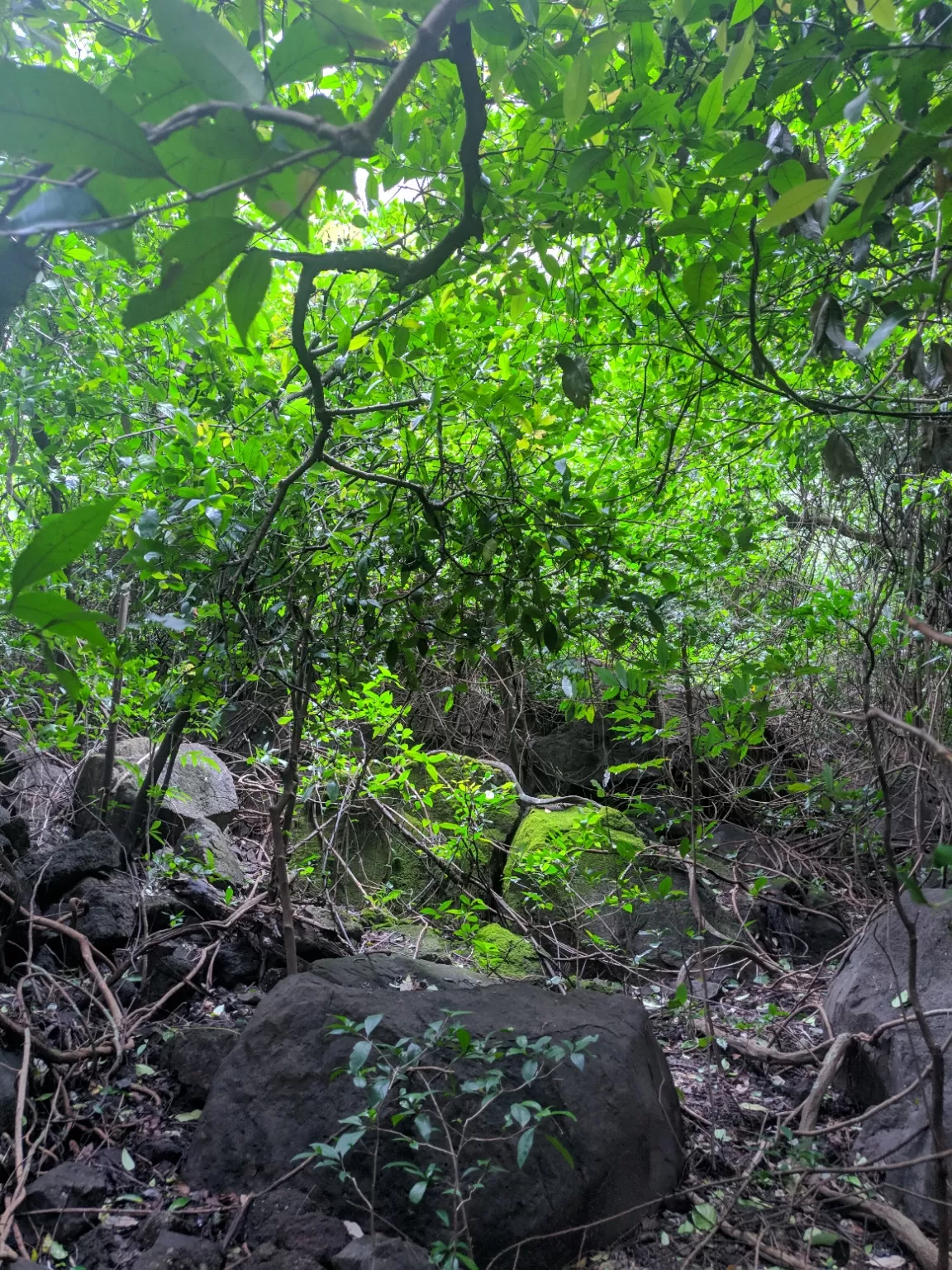 Photo of Devkund Waterfall By Pavan Singh