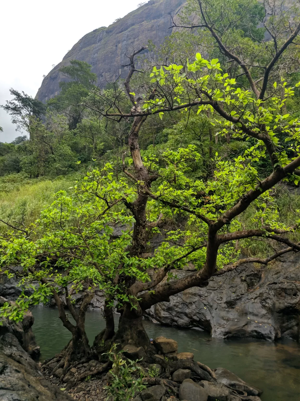 Photo of Devkund Waterfall By Pavan Singh