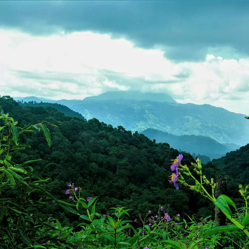 Photo of Baghmara By Chirang Chisim Sangma