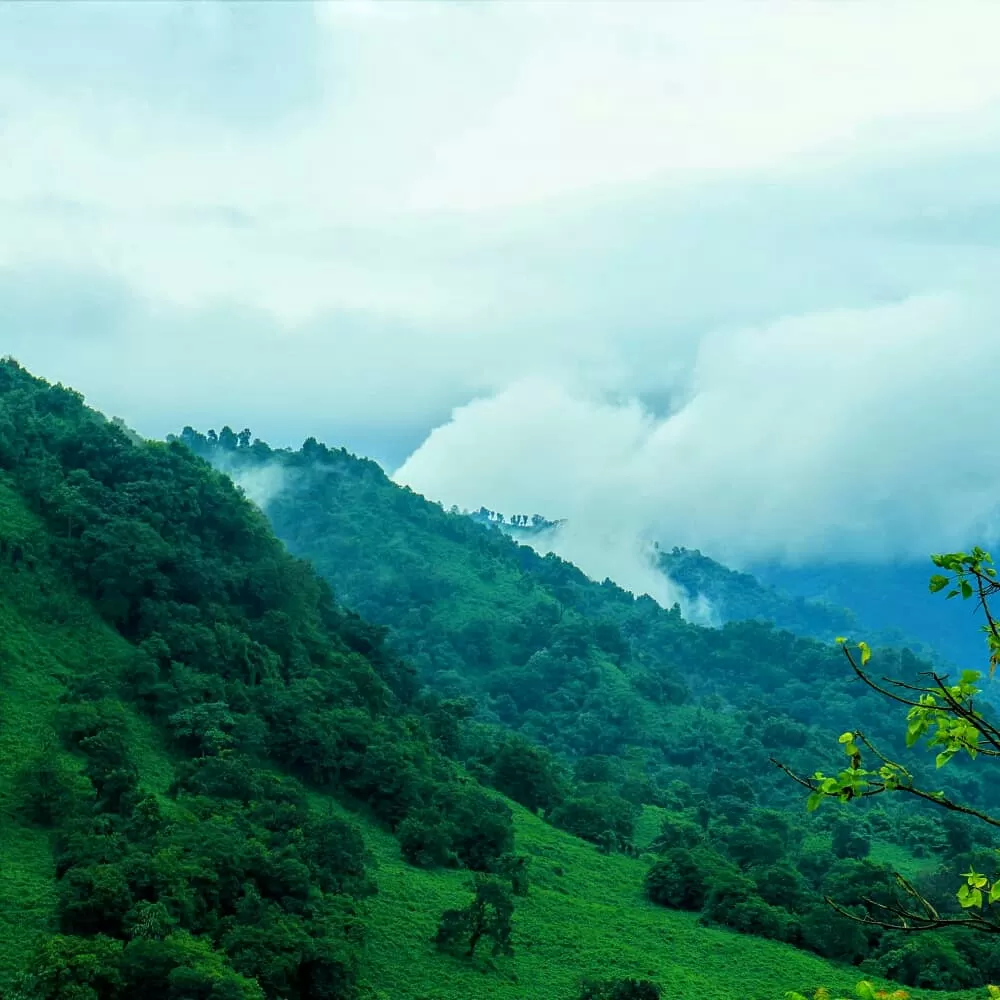 Photo of Baghmara By Chirang Chisim Sangma