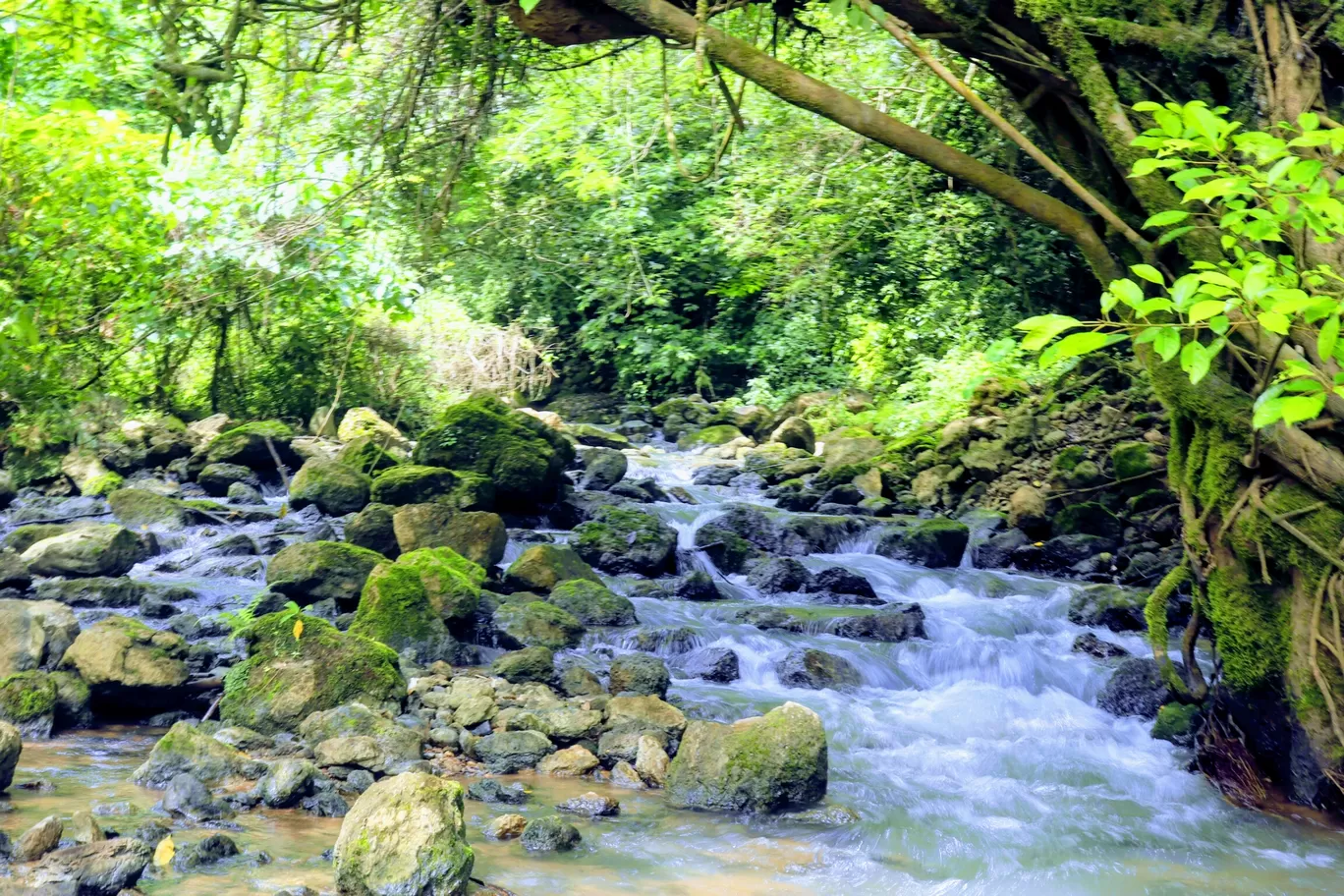 Photo of Baghmara By Chirang Chisim Sangma