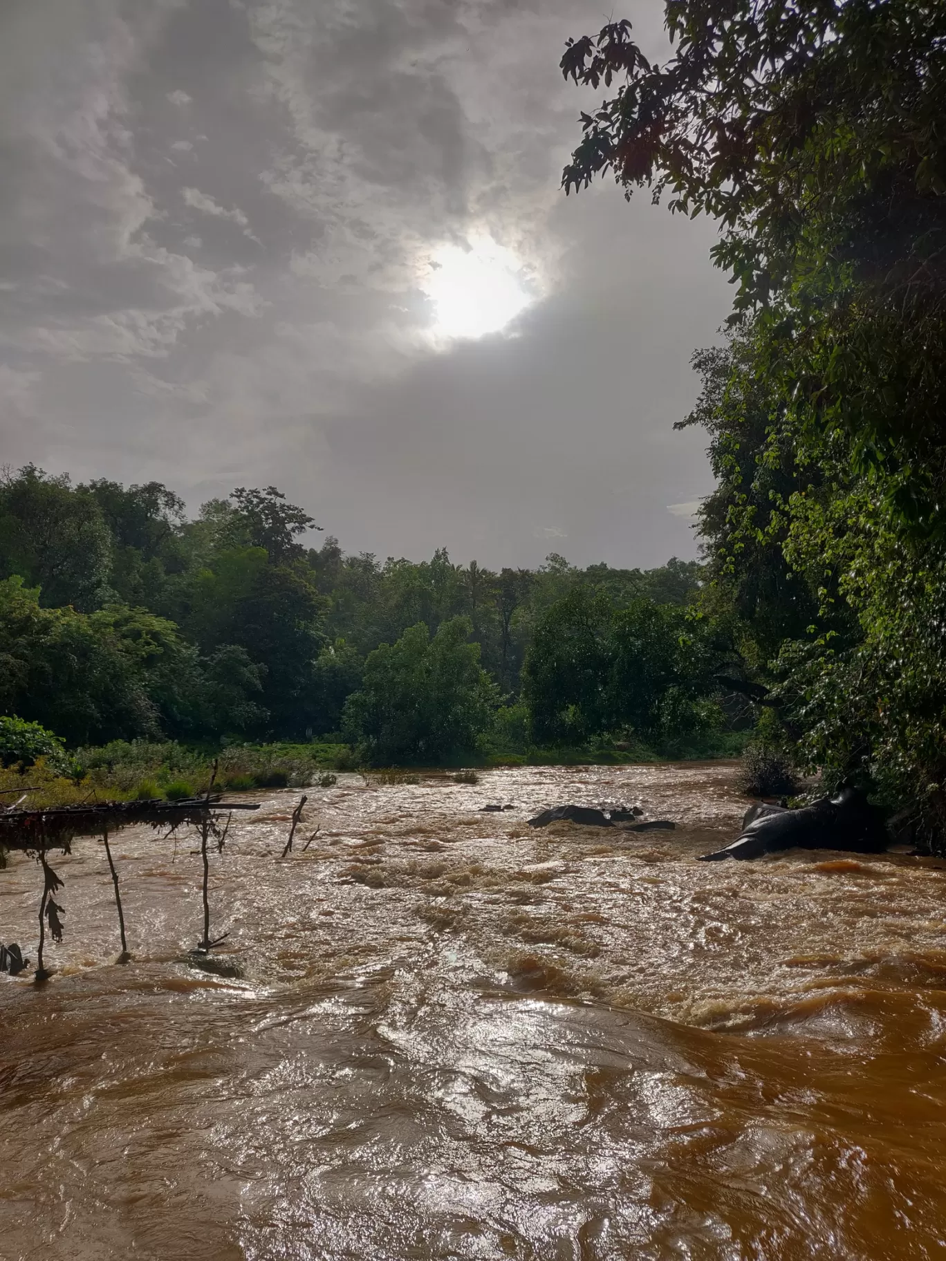 Photo of Sahasralinga By Nikhil Nicky