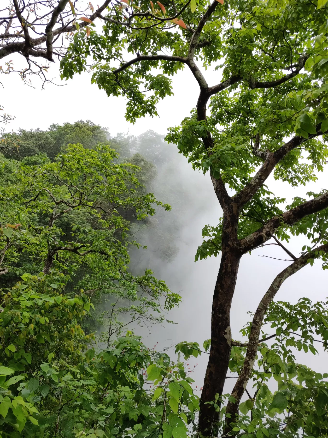 Photo of Magod Falls Road By Nikhil Nicky