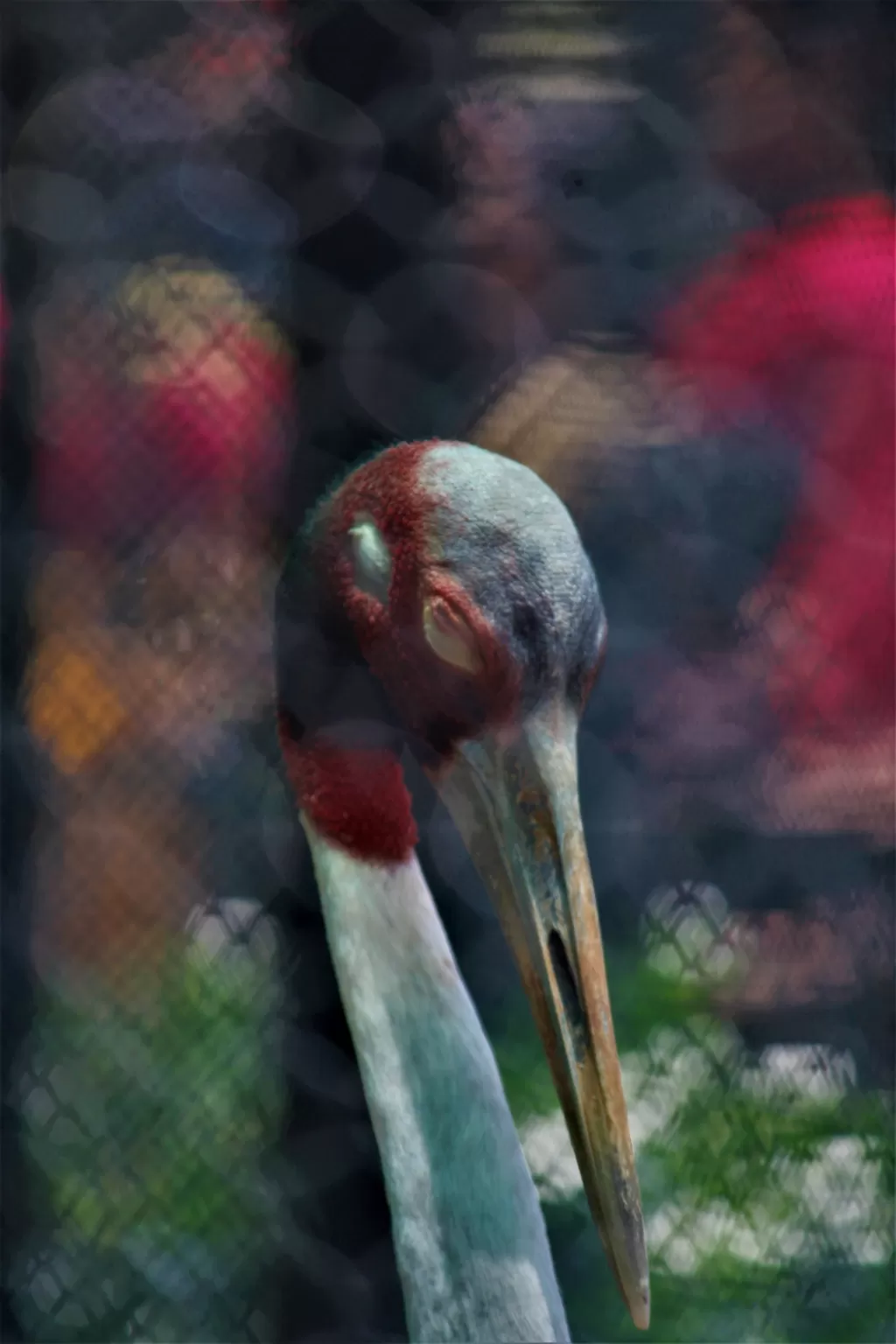 Photo of Vandalur Zoo By Swamy Nathan