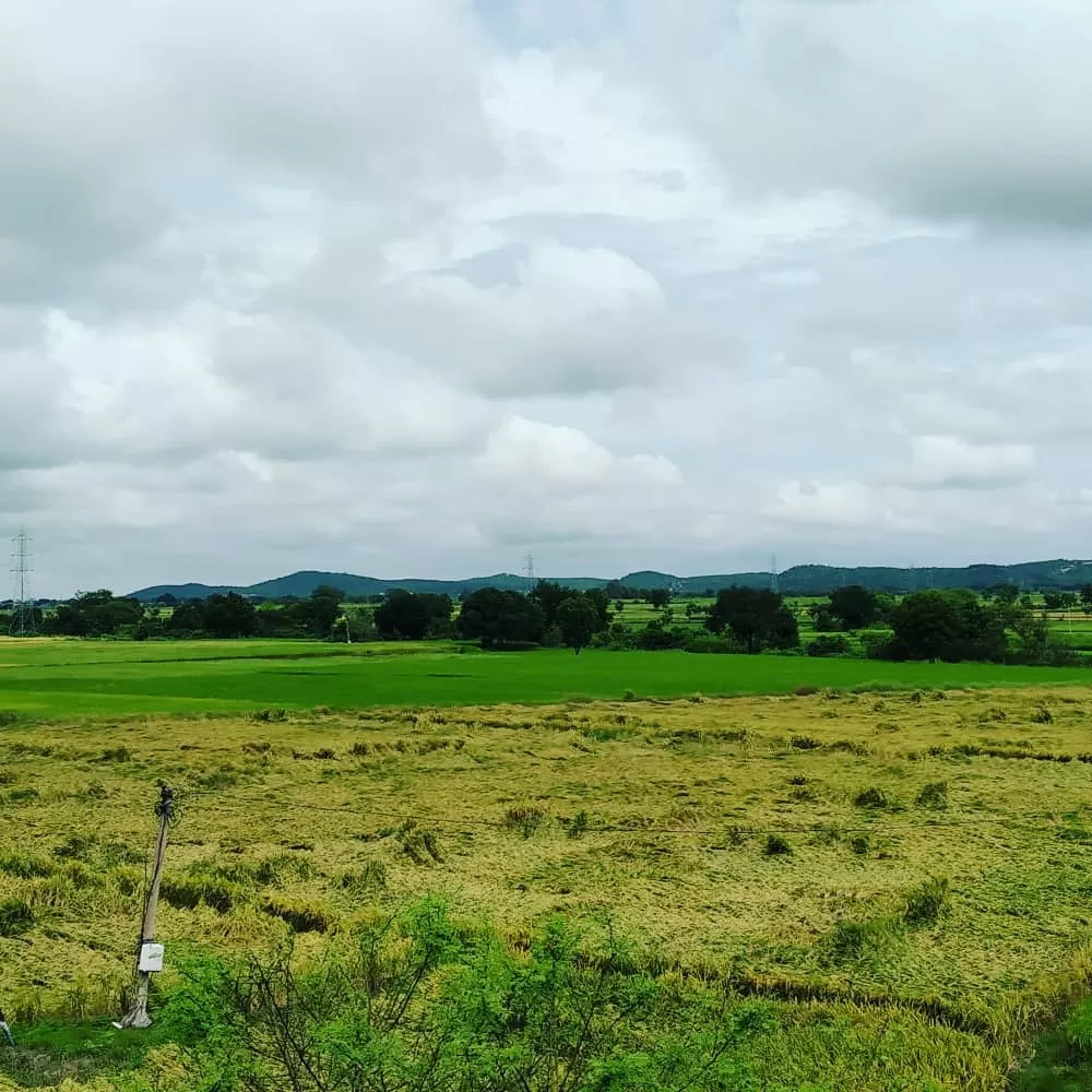 Photo of Amrad-manikbandar Rd By vilas 003