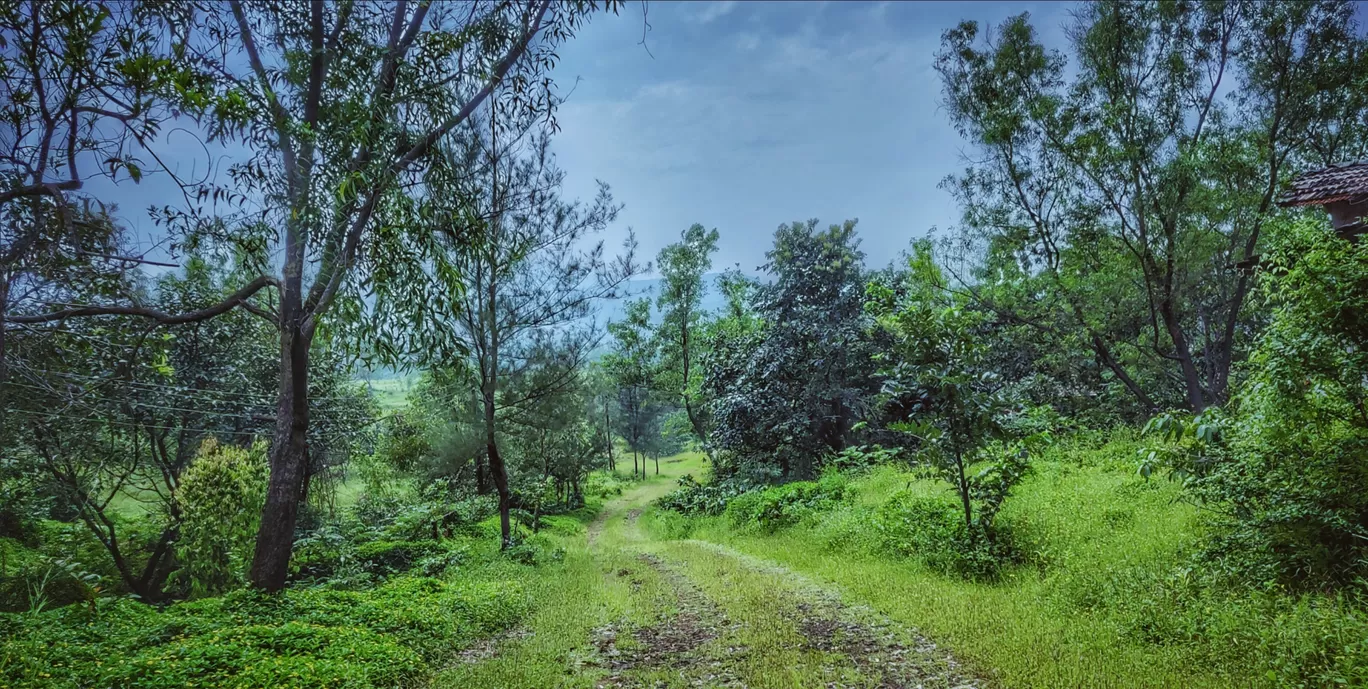 Photo of Amba Ghat By Prachi More