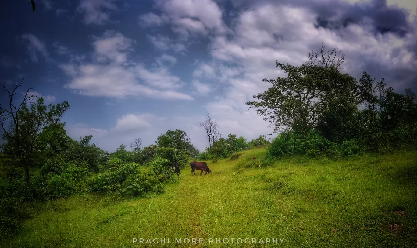 Photo of Amba Ghat By Prachi More