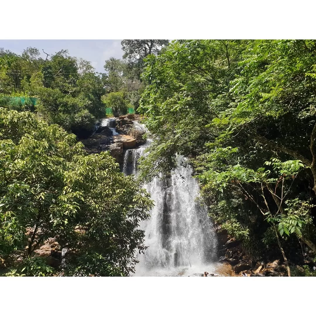 Photo of Sirimane Water Falls By Pritam Kandula