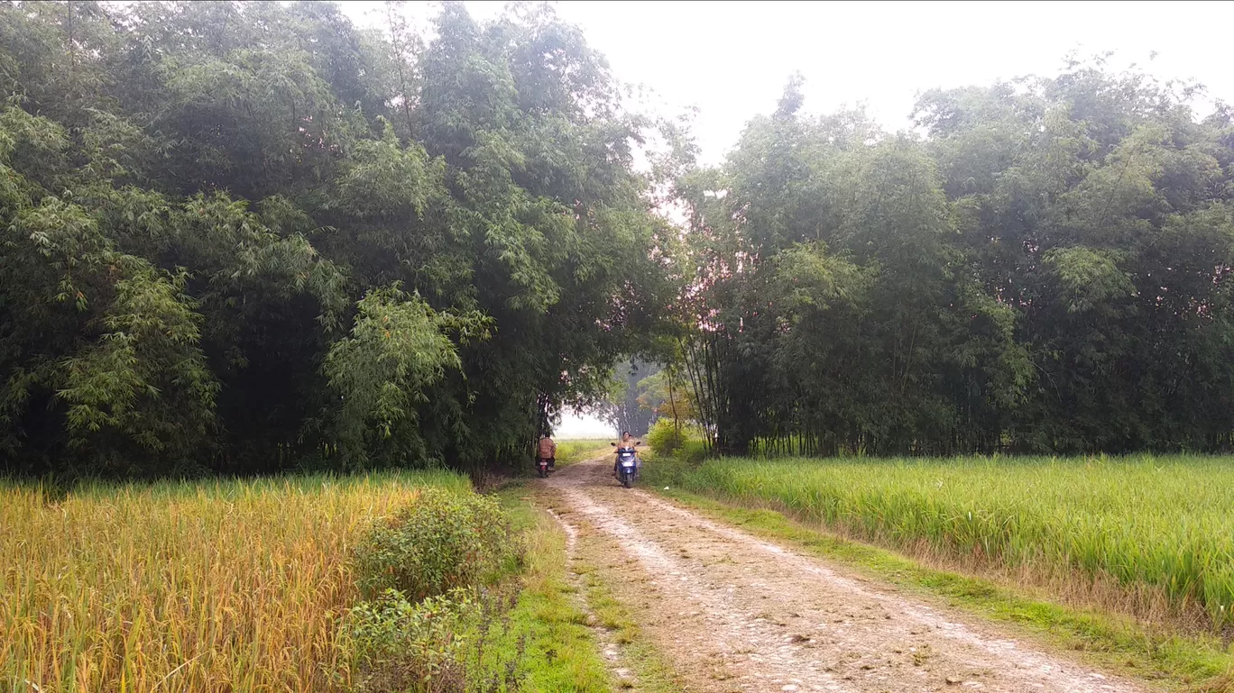 Photo of Borguri Playground By RB Vlogs