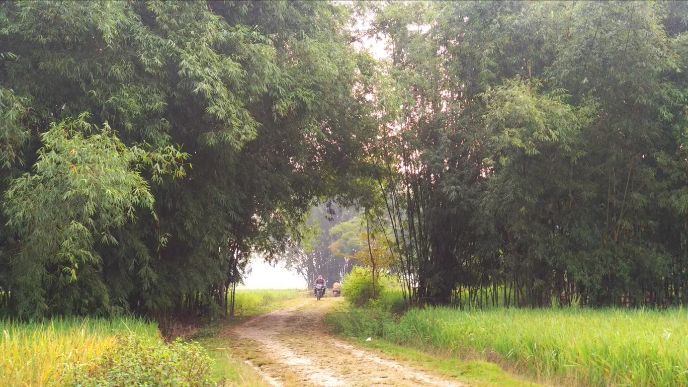 Photo of Borguri Playground By RB Vlogs