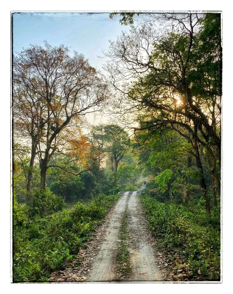 Photo of Gorumara National Park By Payel Sarkar