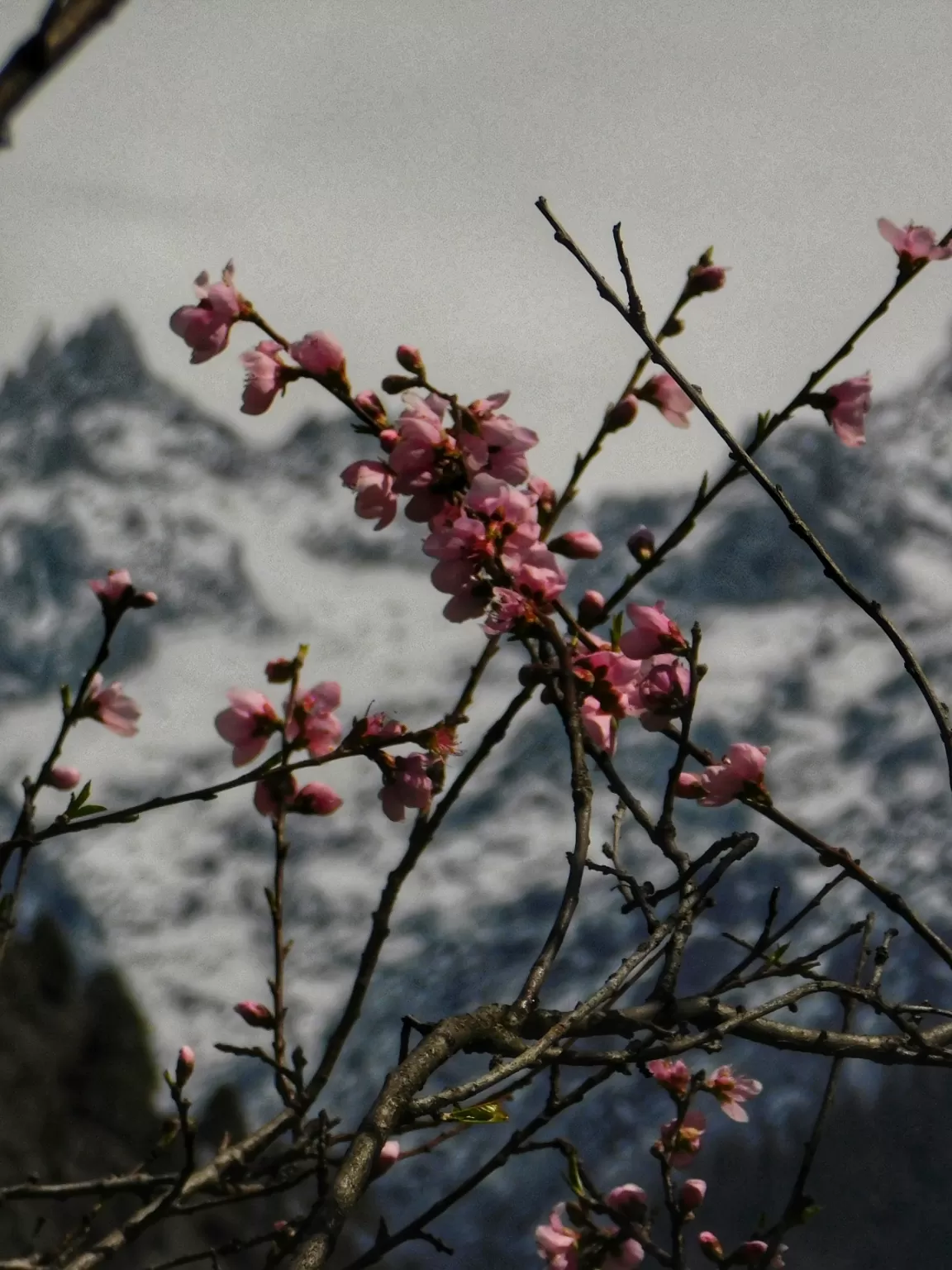 Photo of Kasol By Deep India Tour & Trek Guide