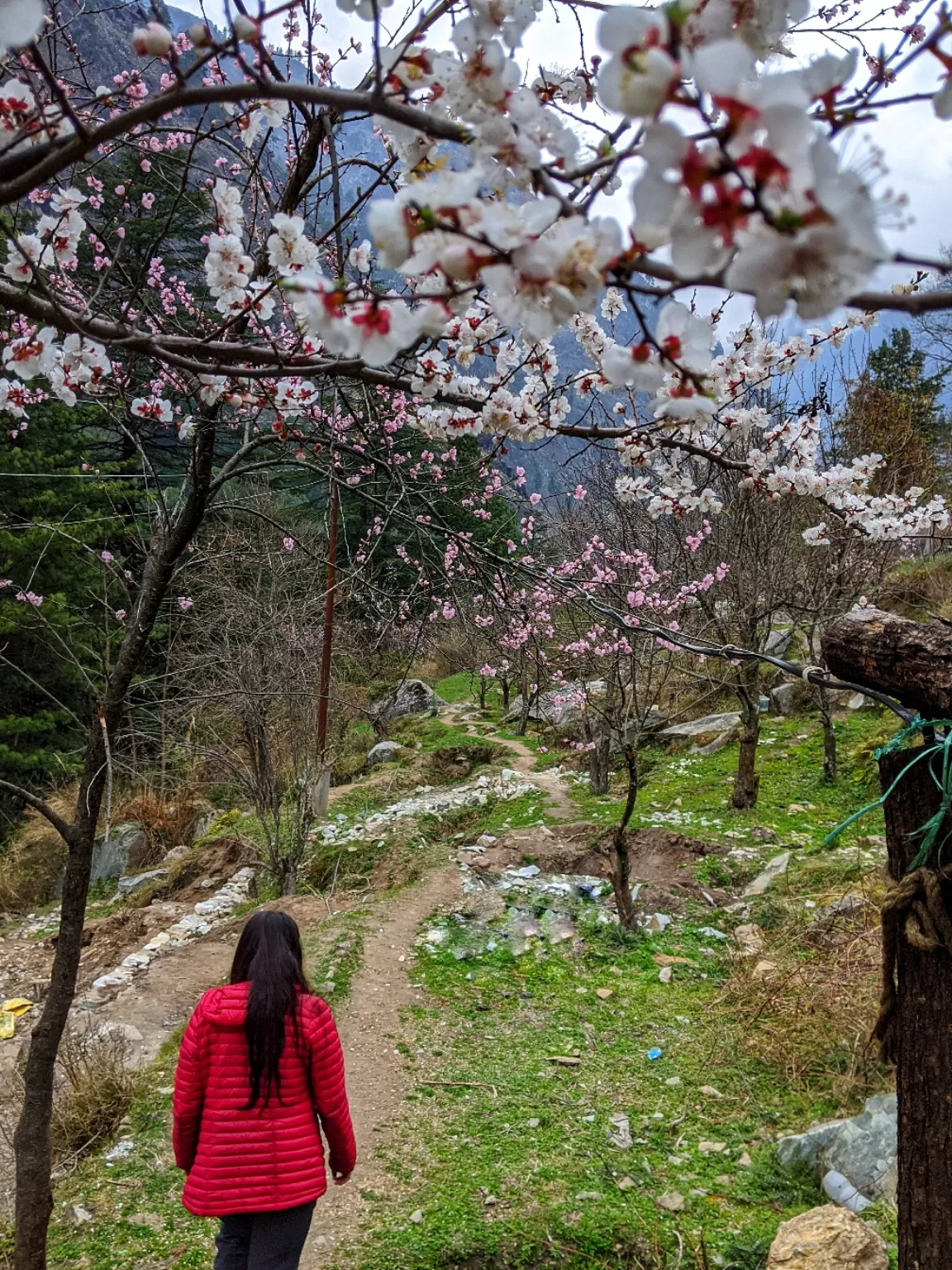 Photo of Kasol By Deep India Tour & Trek Guide