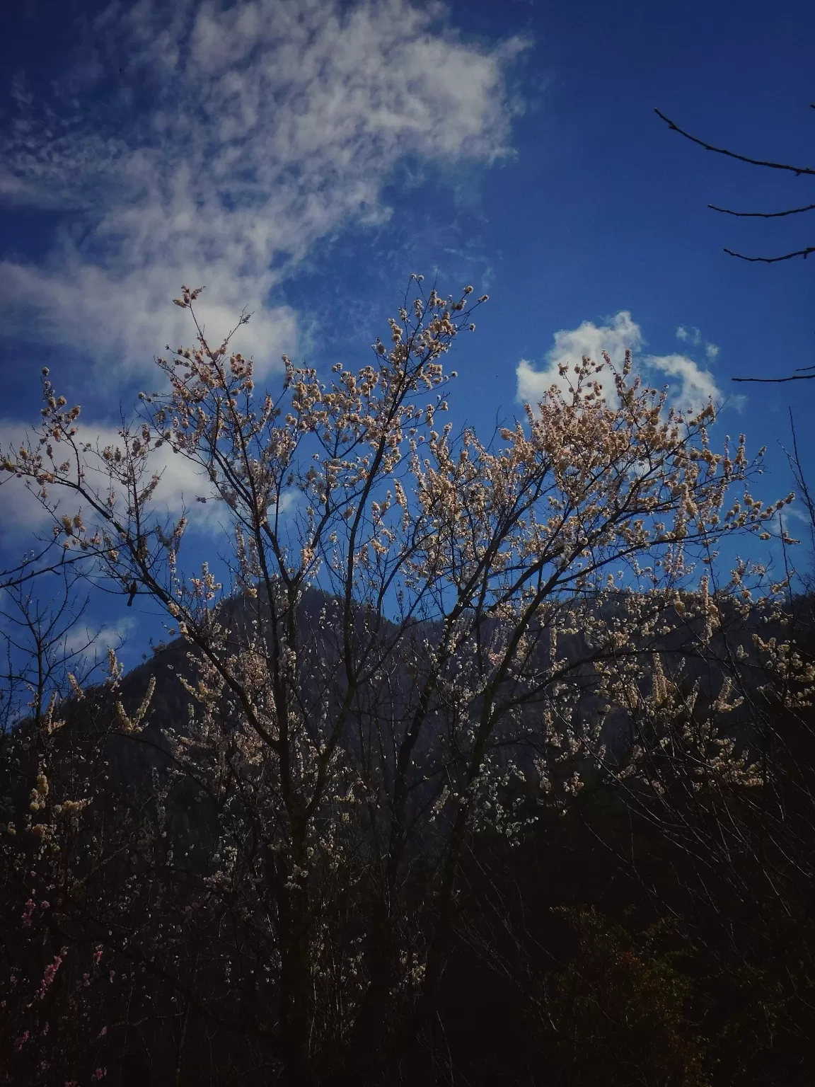 Photo of Kasol By Deep India Tour & Trek Guide