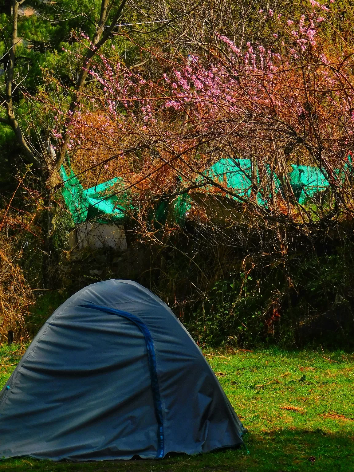 Photo of Kasol By Deep India Tour & Trek Guide