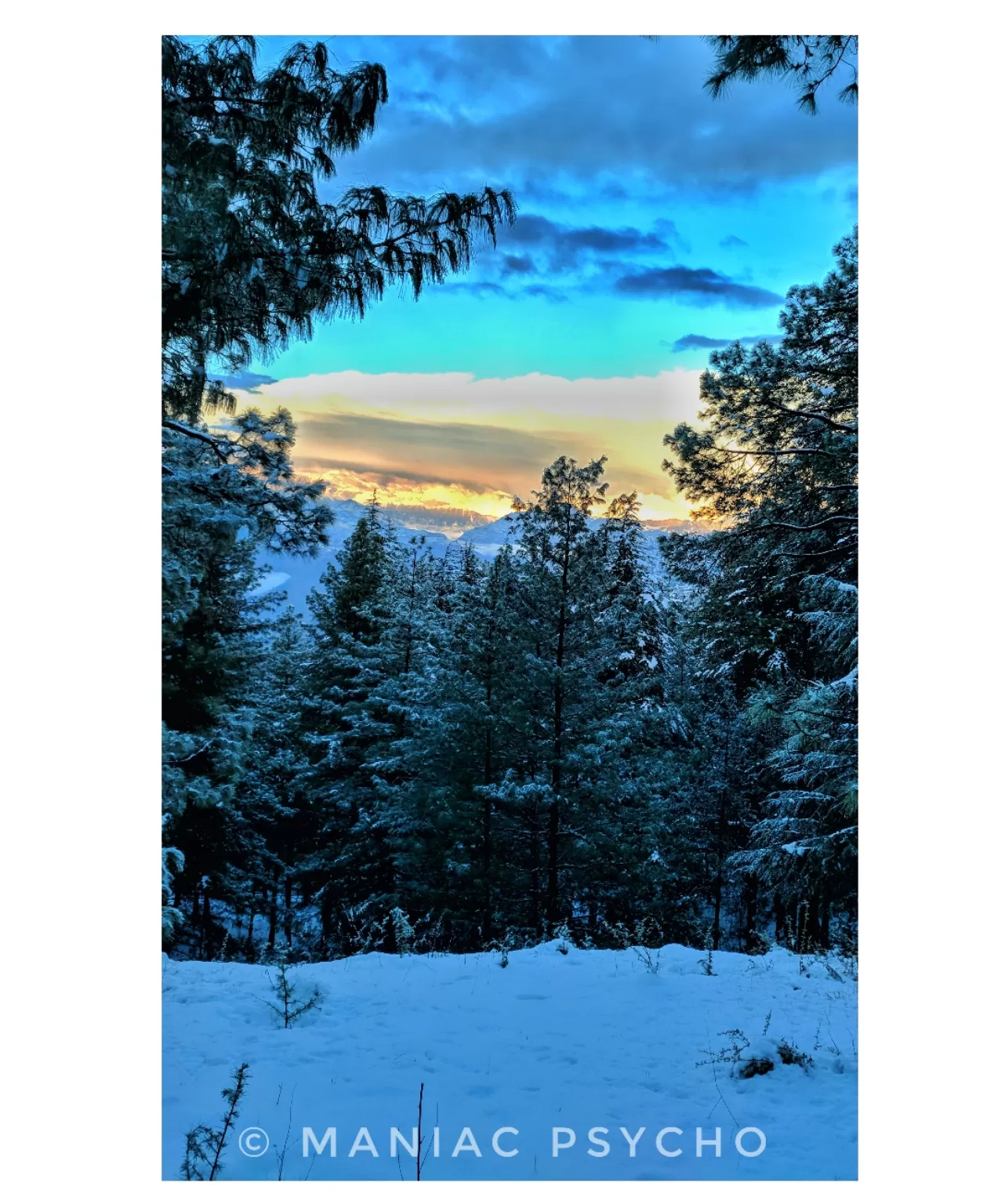 Photo of Shimla-Kangra Rd By Harsh Rastogi