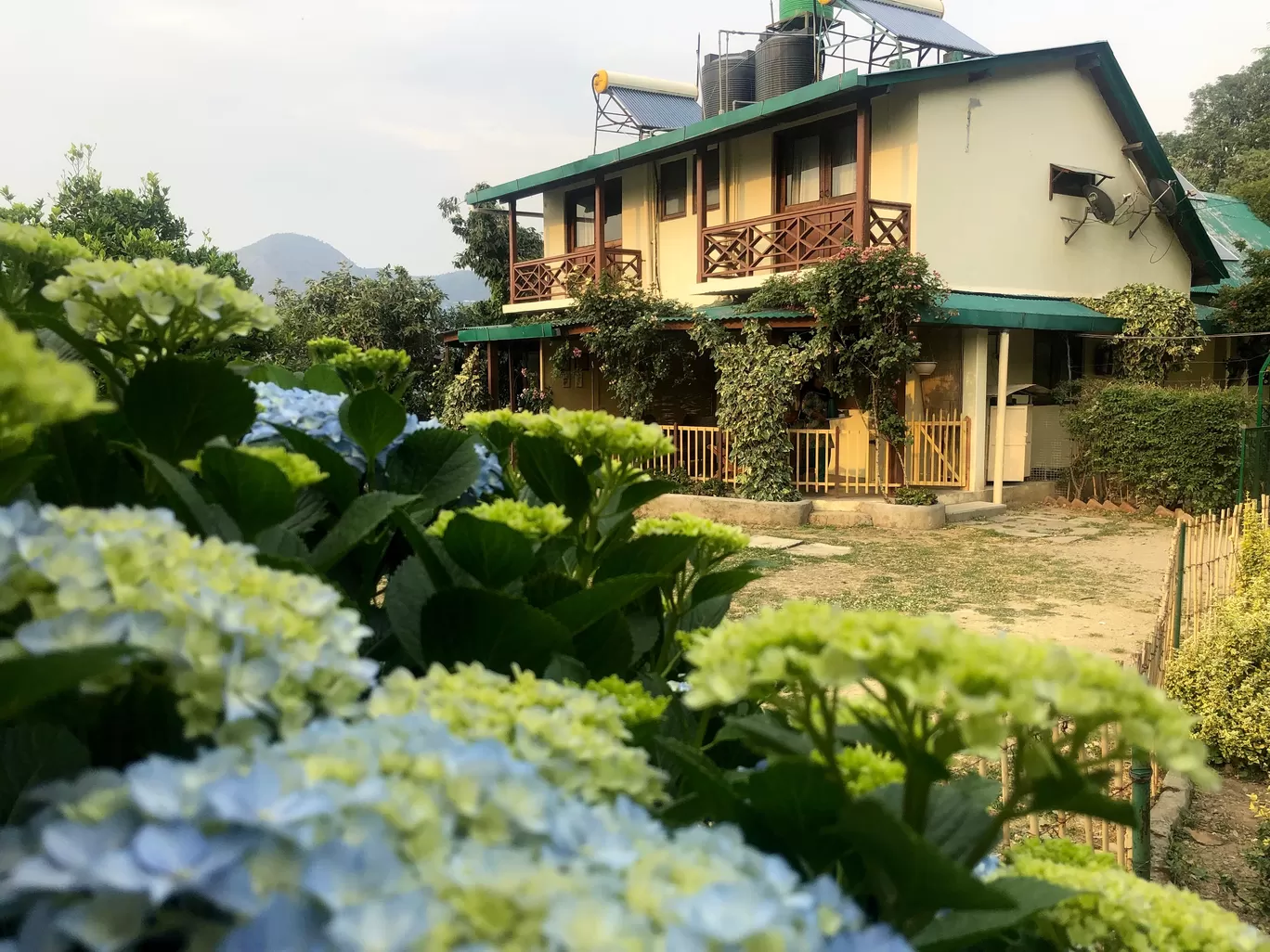 Photo of Jangalia Gaon Ganja By Sumith Dutta