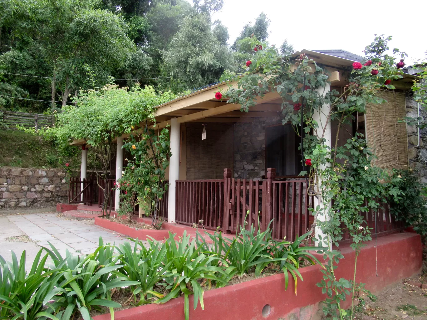 Photo of Jangalia Gaon Ganja By Sumith Dutta
