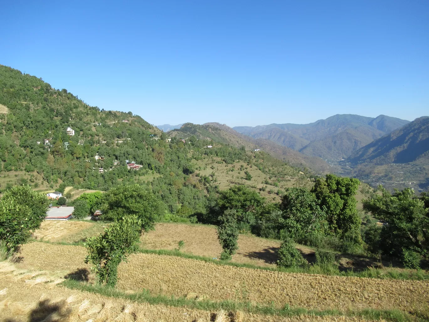 Photo of Jangalia Gaon Ganja By Sumith Dutta