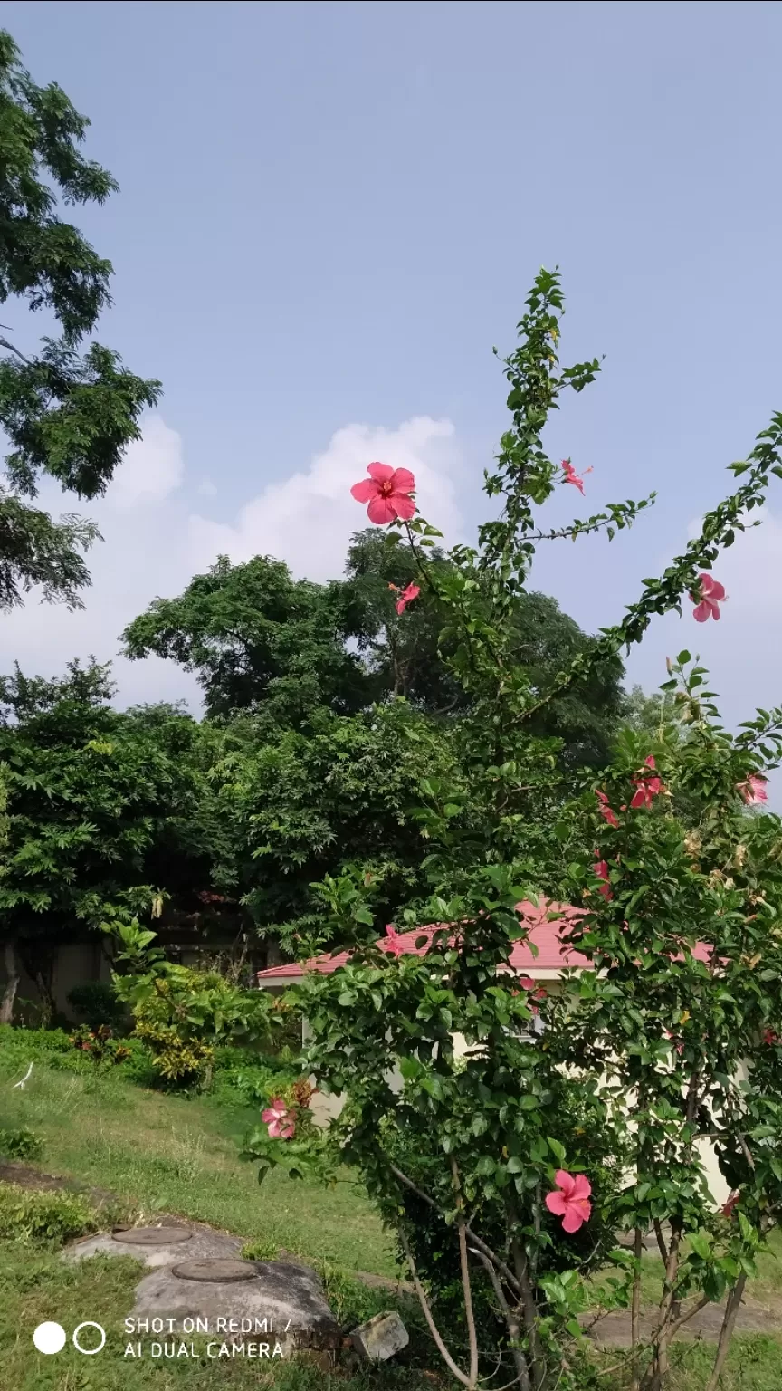 Photo of Bishnupur By SWARAJIT DEY
