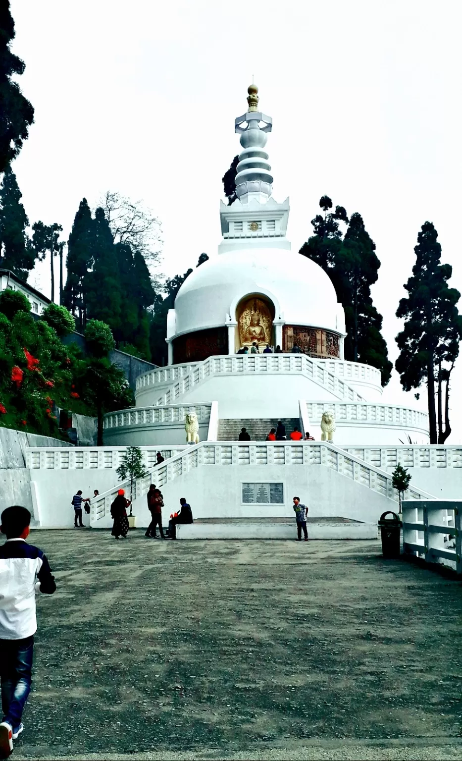 Photo of Darjeeling By SINDHU RAJ 