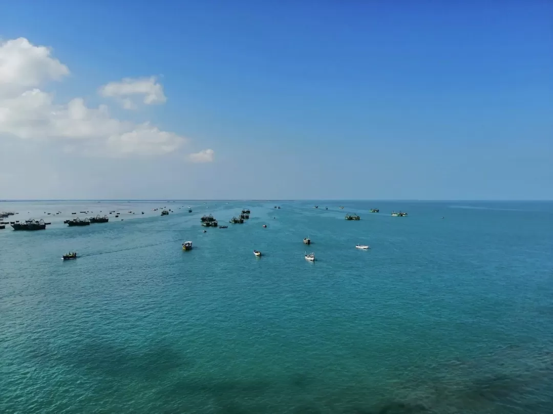 Photo of Pamban Bridge By Trippy Lahsiv