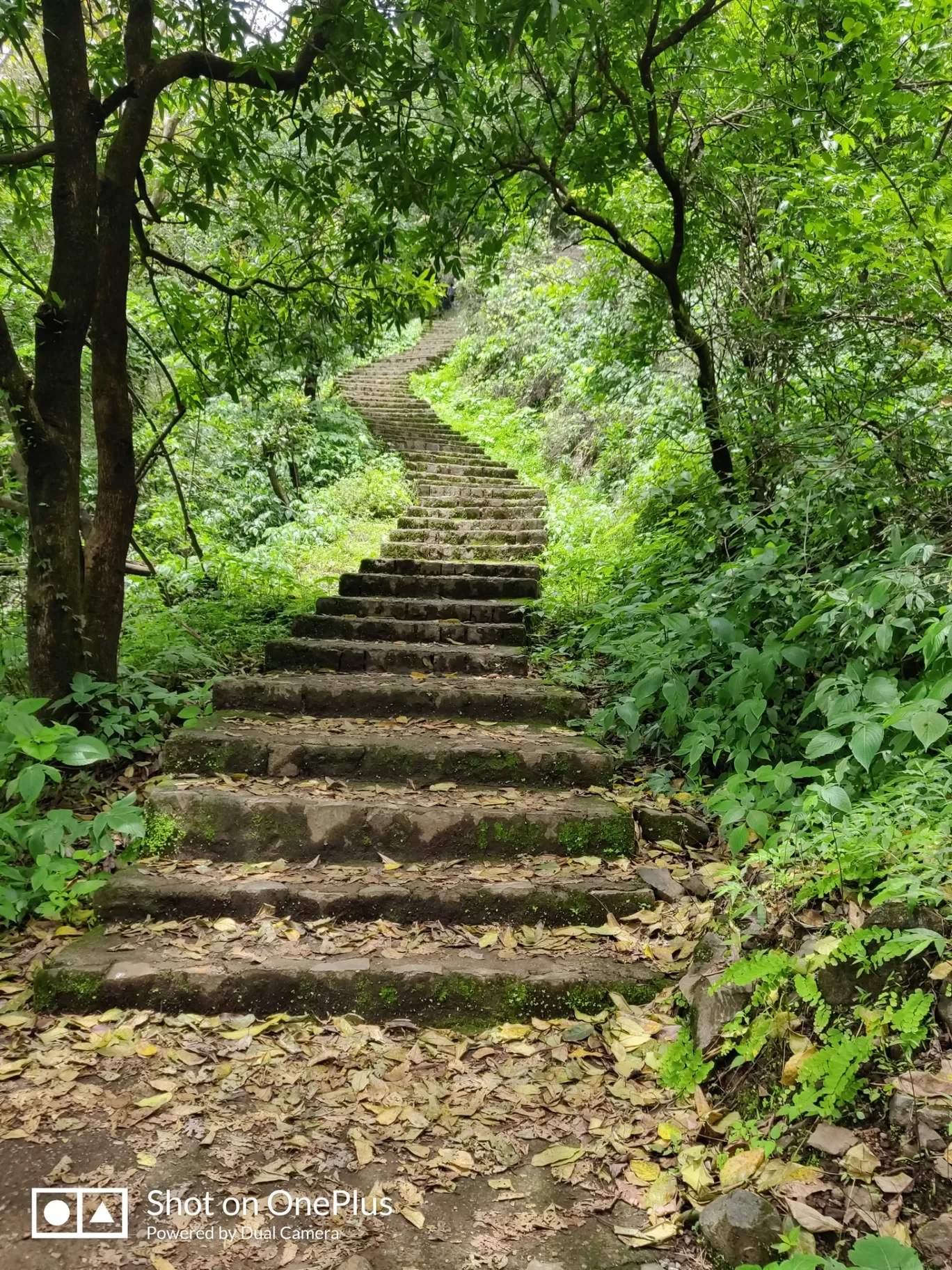 Photo of Korigad Fort By Arjit Aren