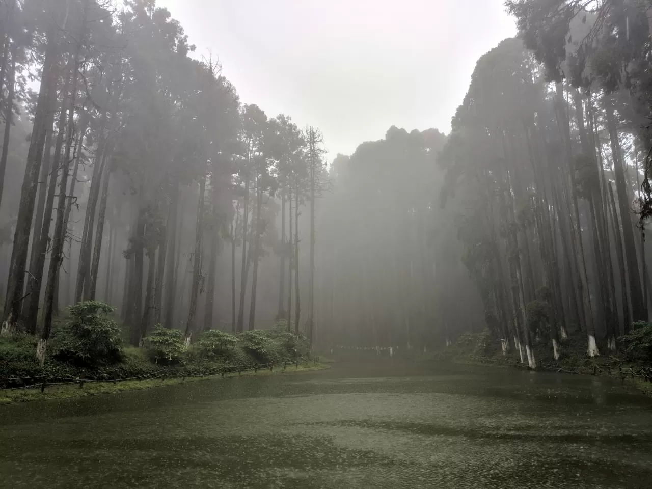 Photo of Darjeeling By Arghyadeep Bose