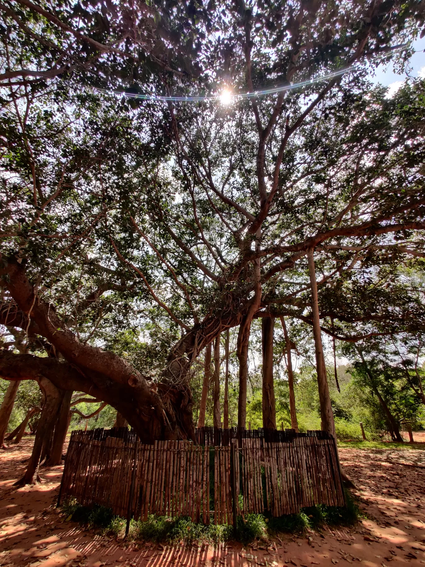 Photo of Pondicherry By Mohammad Rafiz