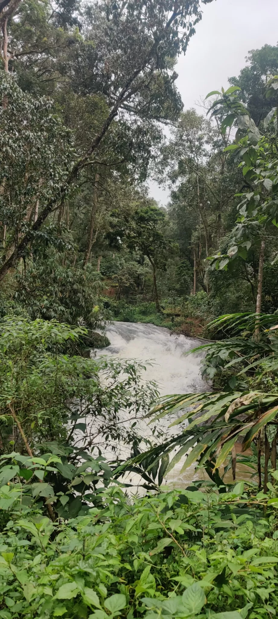 Photo of Munnar Hill Station By Mohammad Rafiz