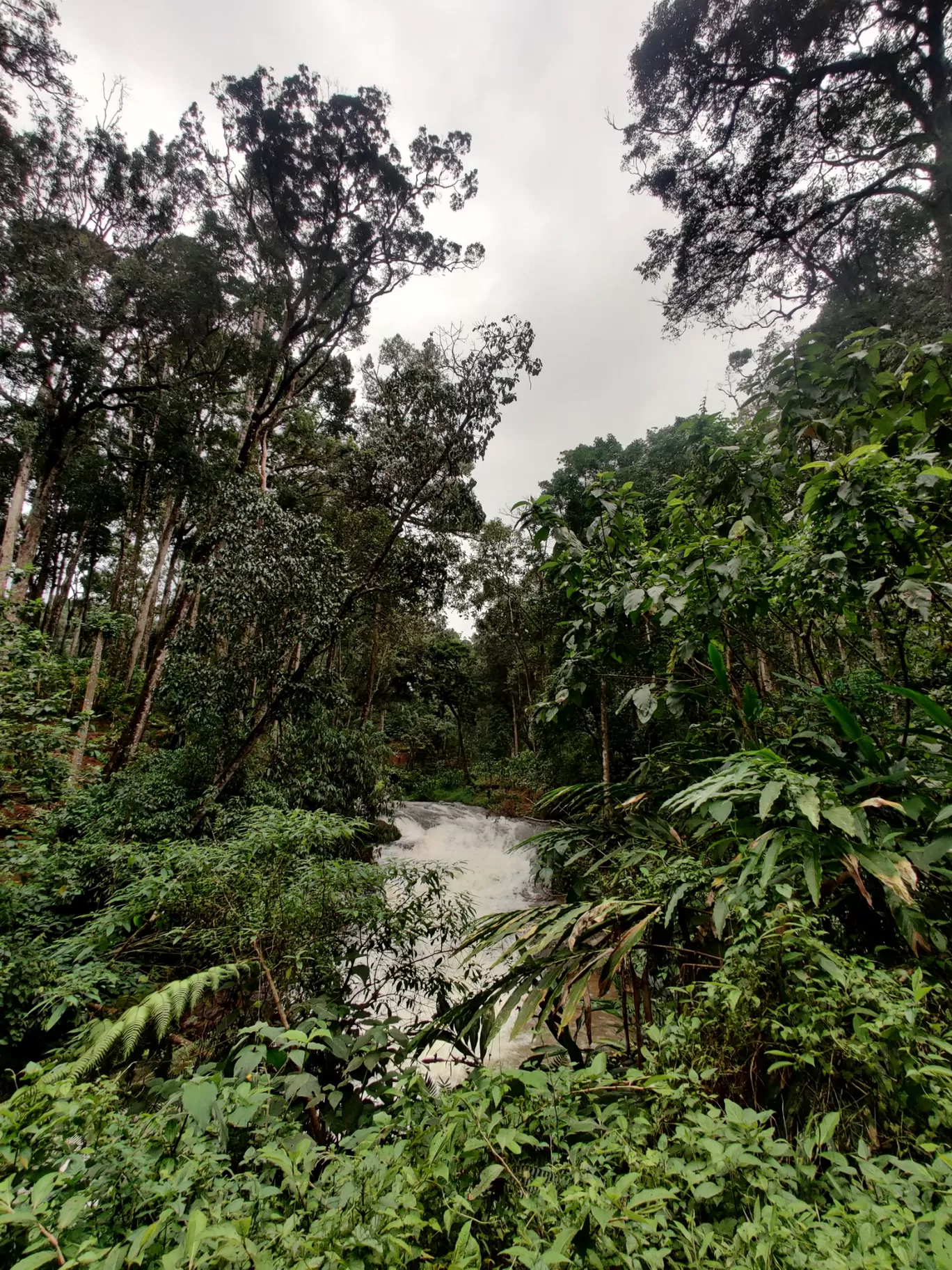 Photo of Munnar Hill Station By Mohammad Rafiz