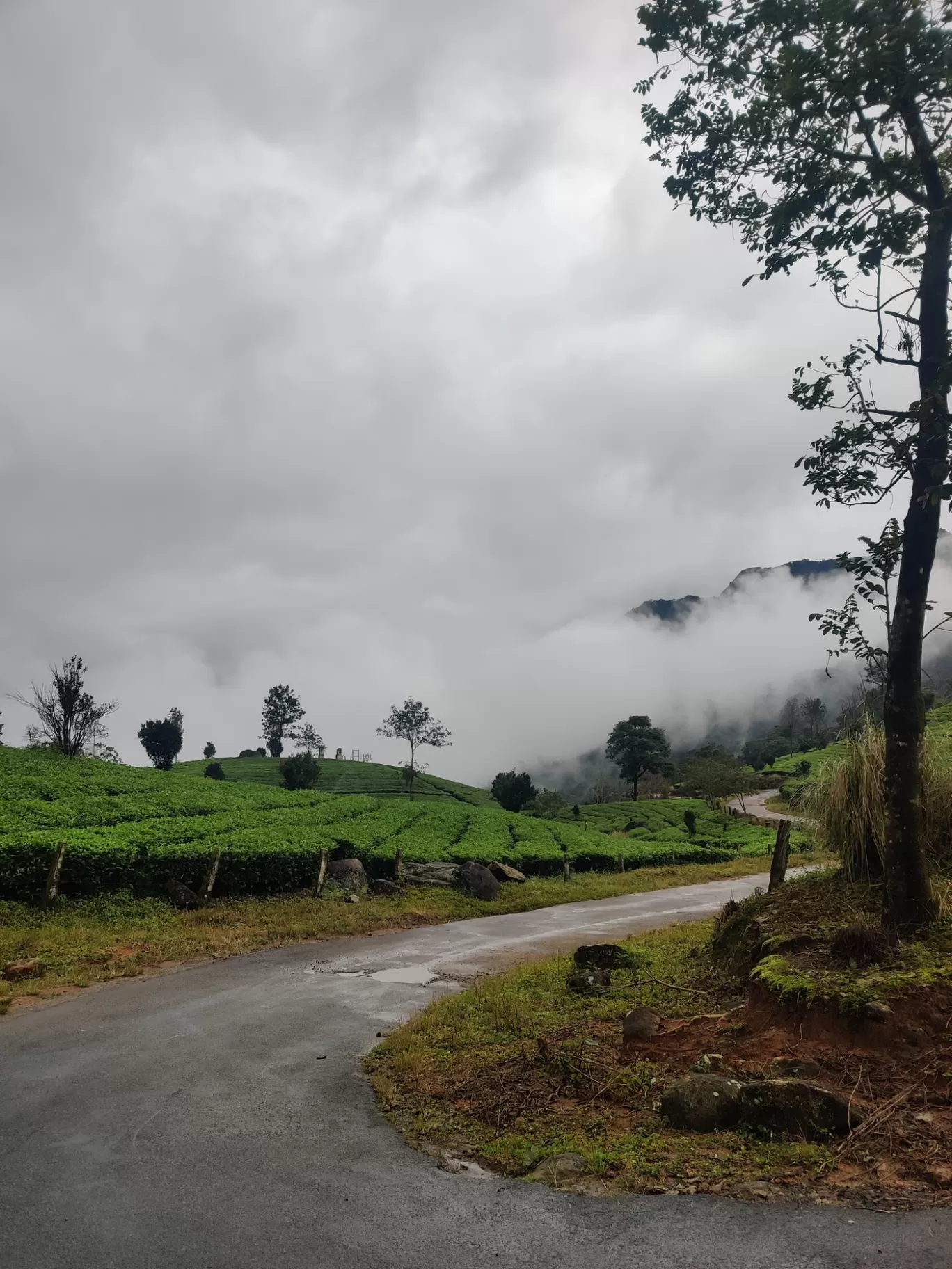 Photo of Munnar Hill Station By Mohammad Rafiz