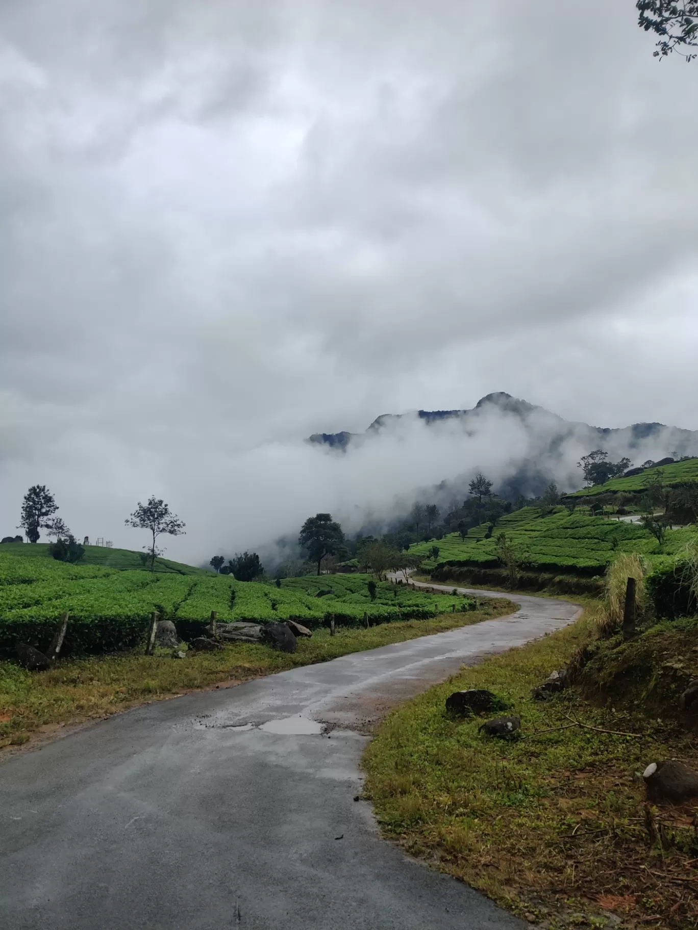 Photo of Munnar Hill Station By Mohammad Rafiz