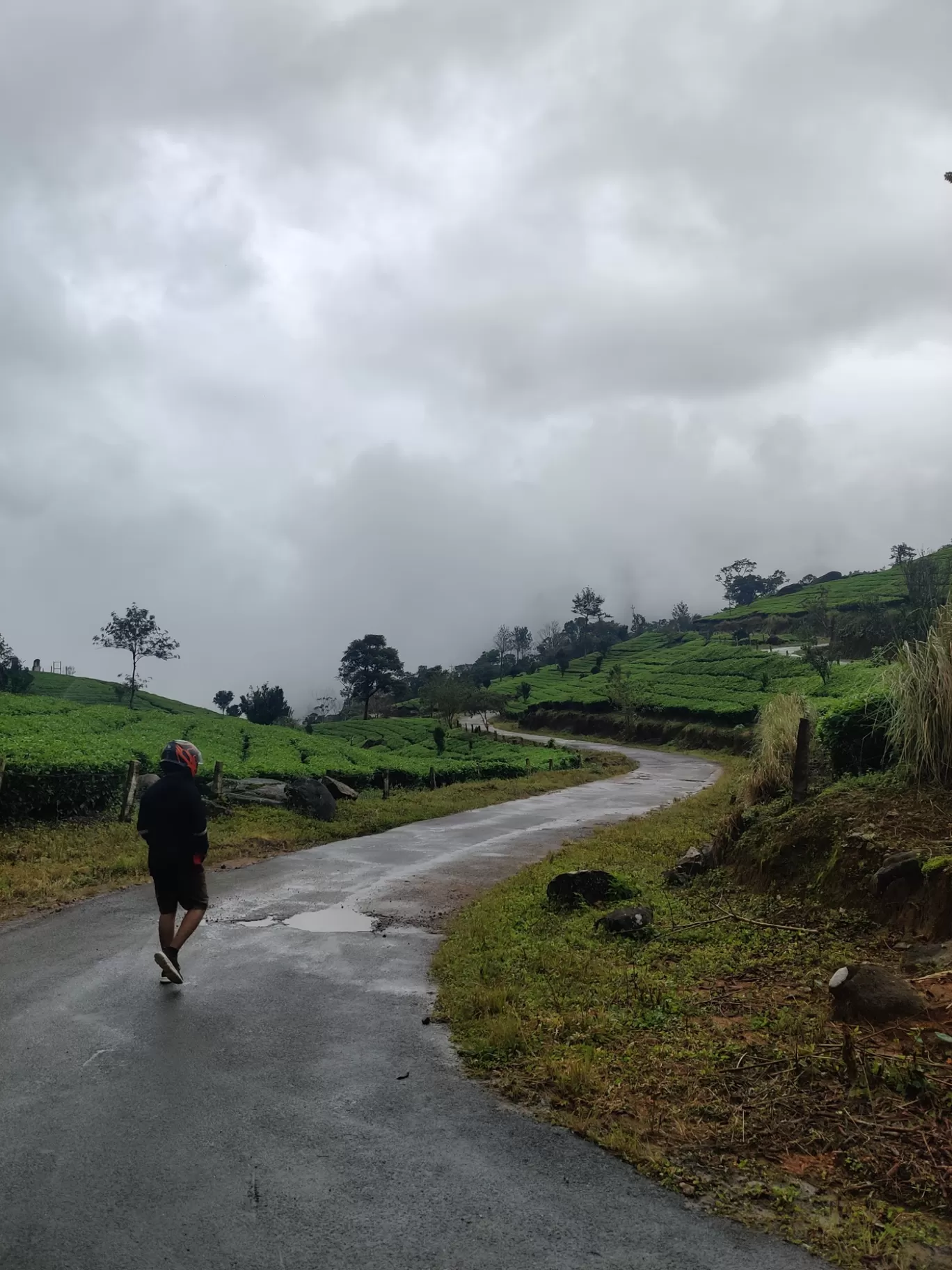 Photo of Munnar Hill Station By Mohammad Rafiz