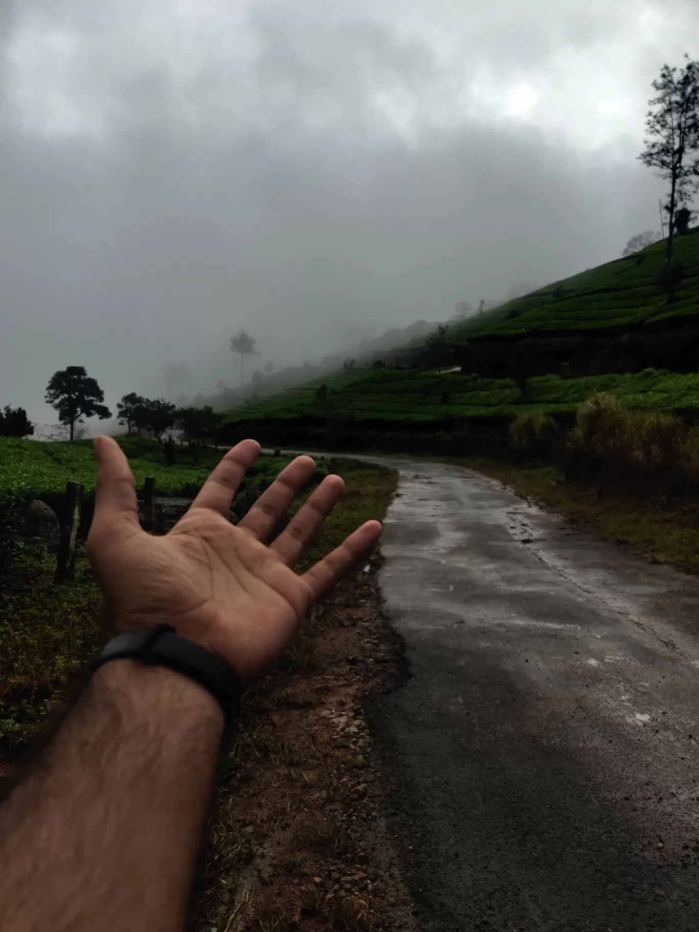 Photo of Munnar Hill Station By Mohammad Rafiz