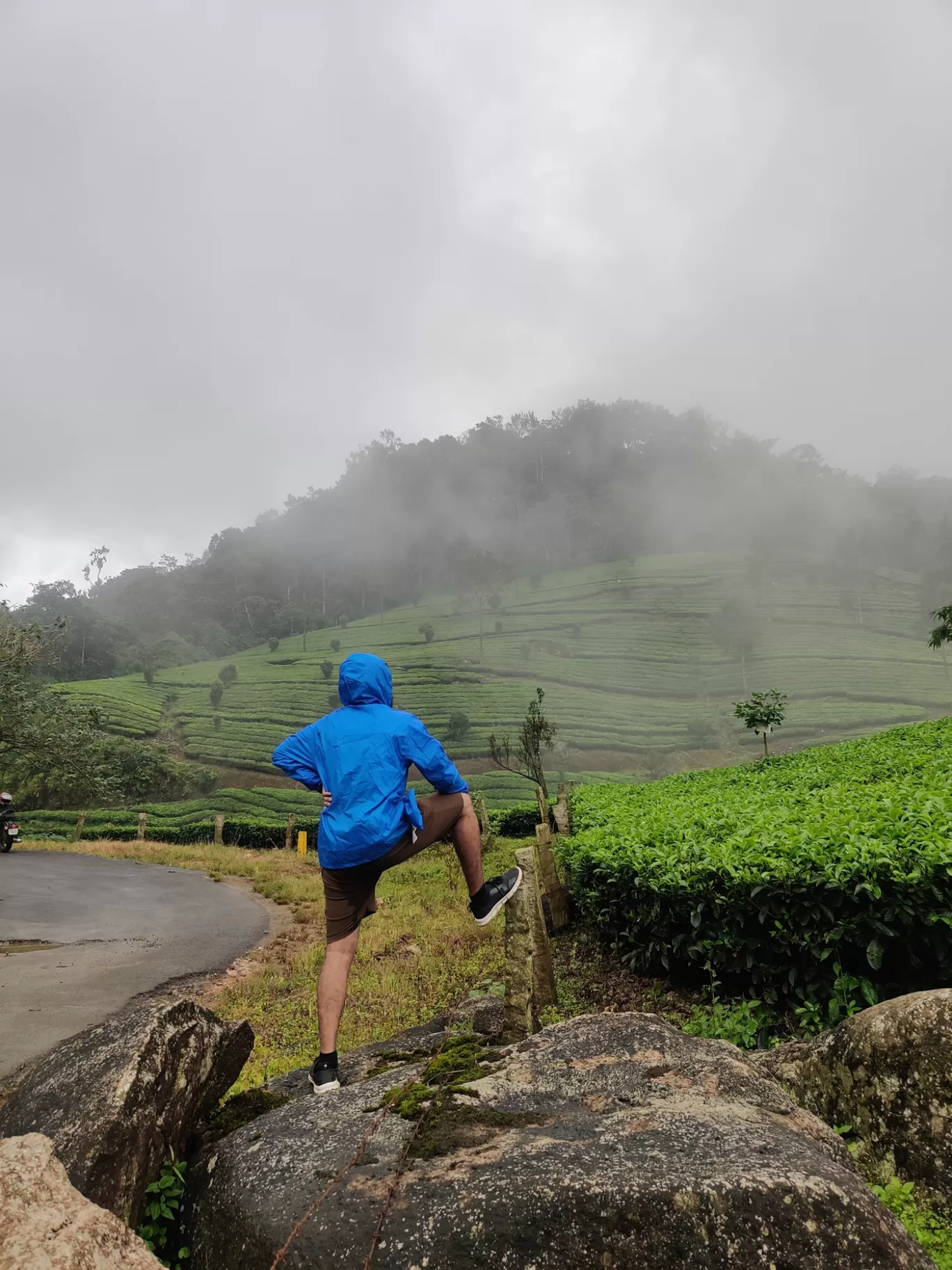 Photo of Munnar Hill Station By Mohammad Rafiz