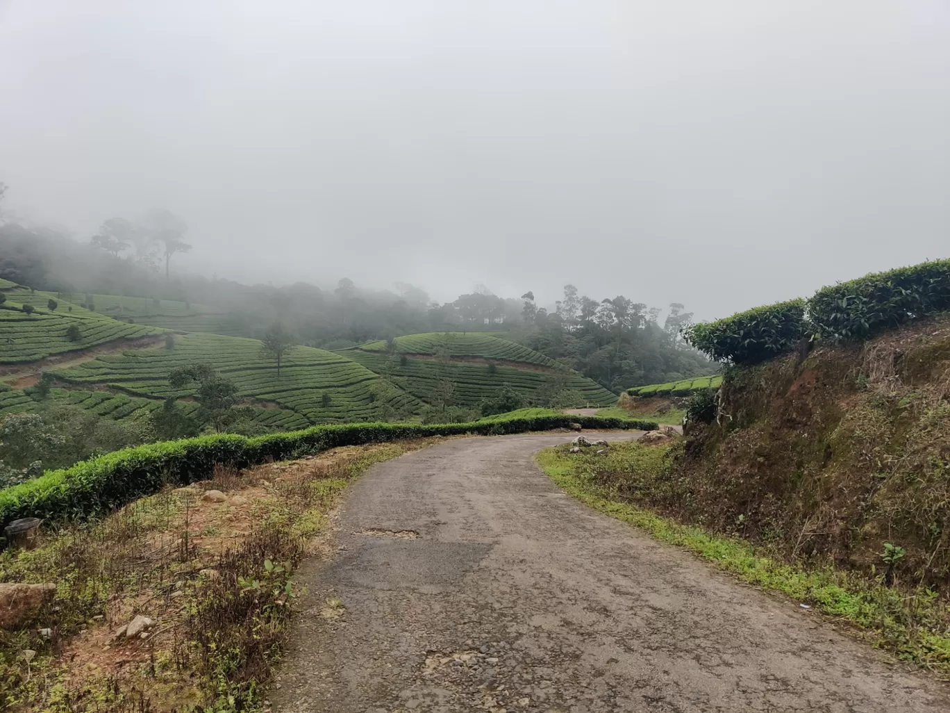 Photo of Munnar Hill Station By Mohammad Rafiz