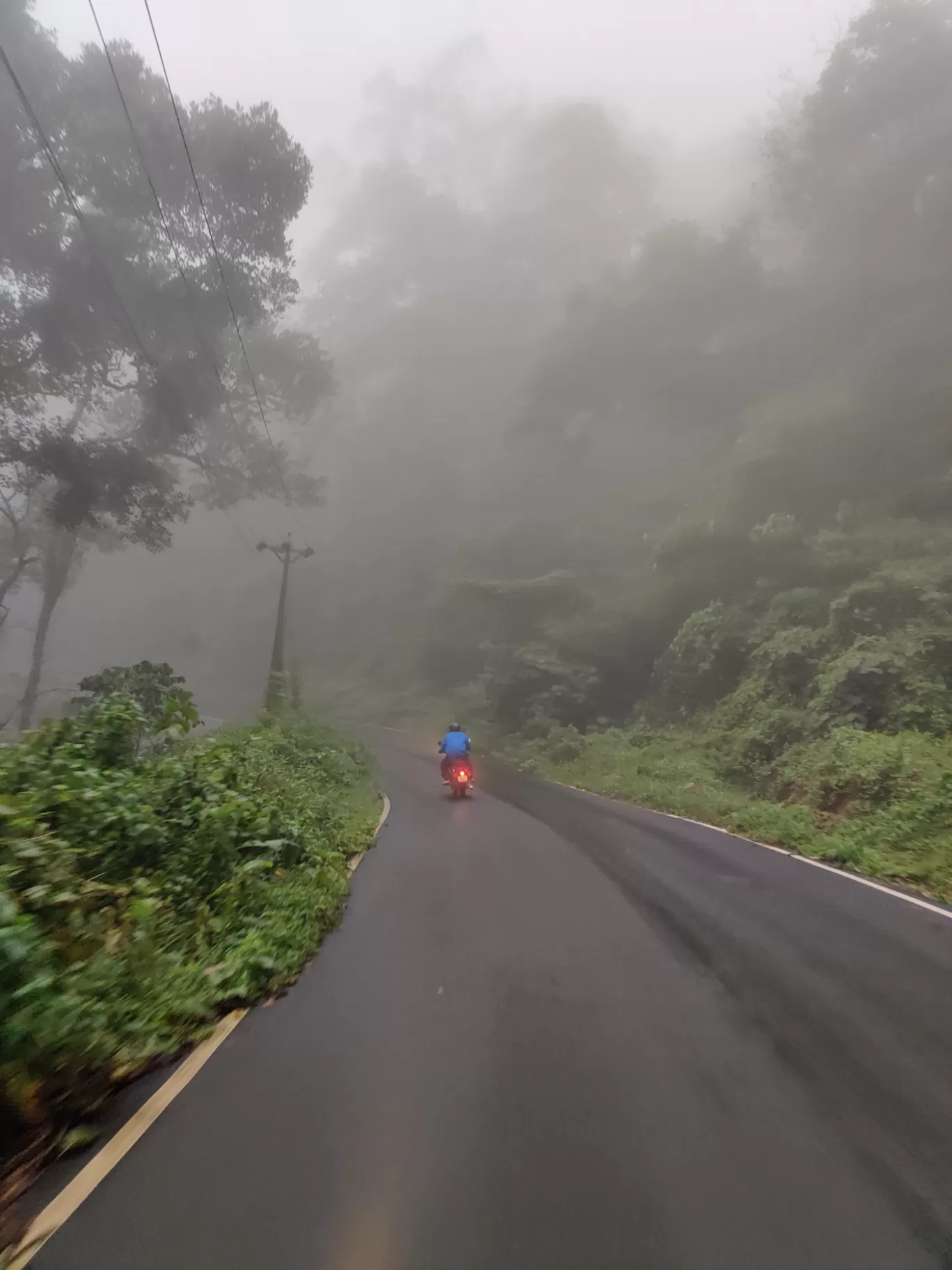 Photo of Munnar By Mohammad Rafiz