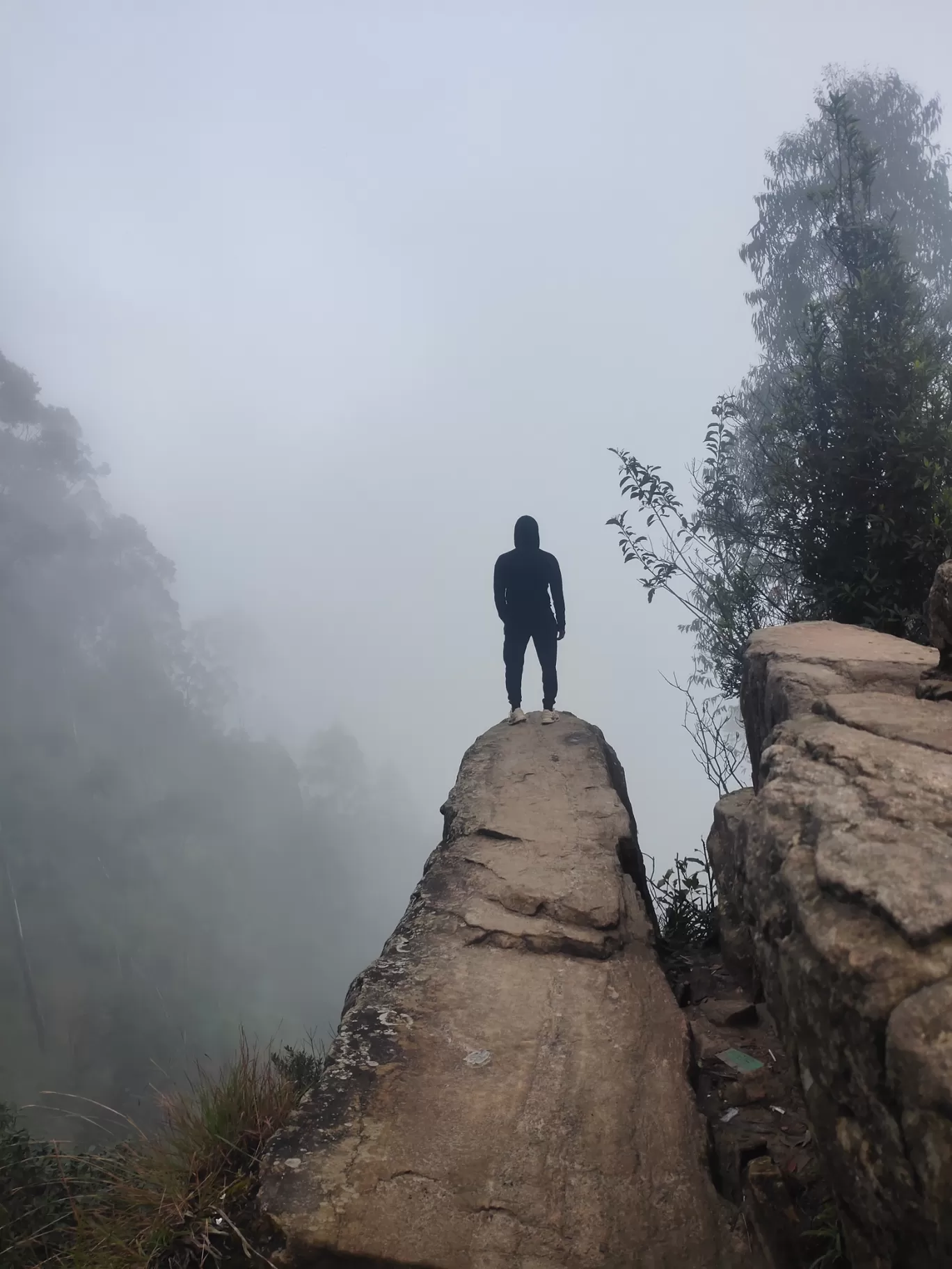 Photo of Dolphin nose viewpoint By Arjun M