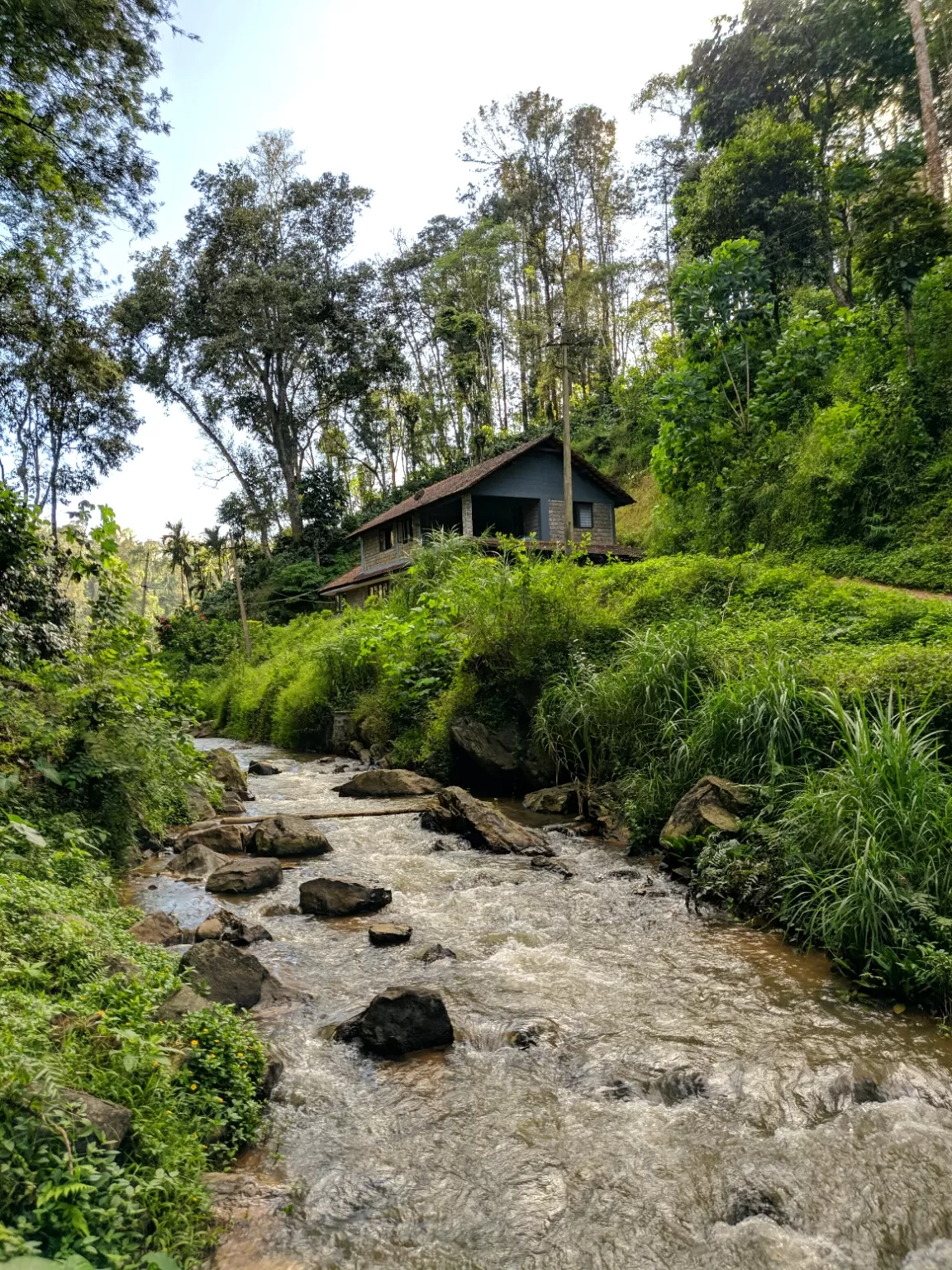 Photo of Coorg By Nihal Shetty