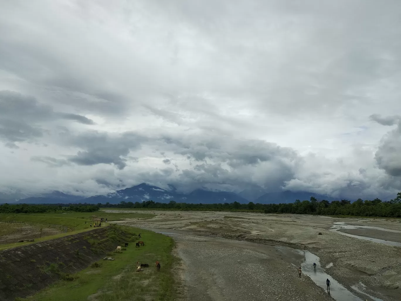 Photo of Raimatang Tea Estate By Yogesh Jain