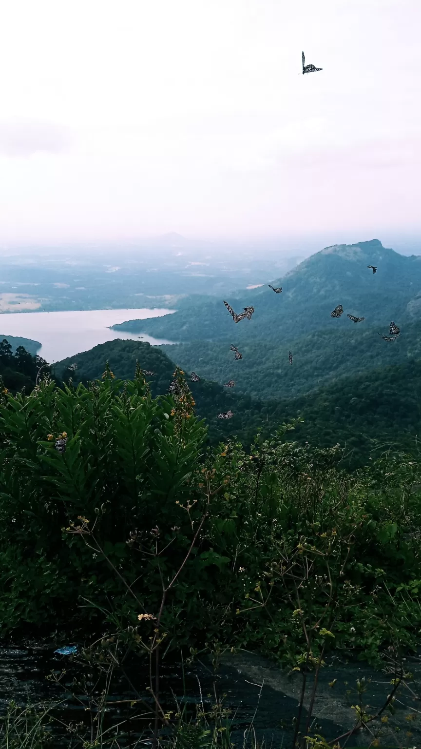 Photo of Nelliyampathy By Sreeraj K Chandrasekhar