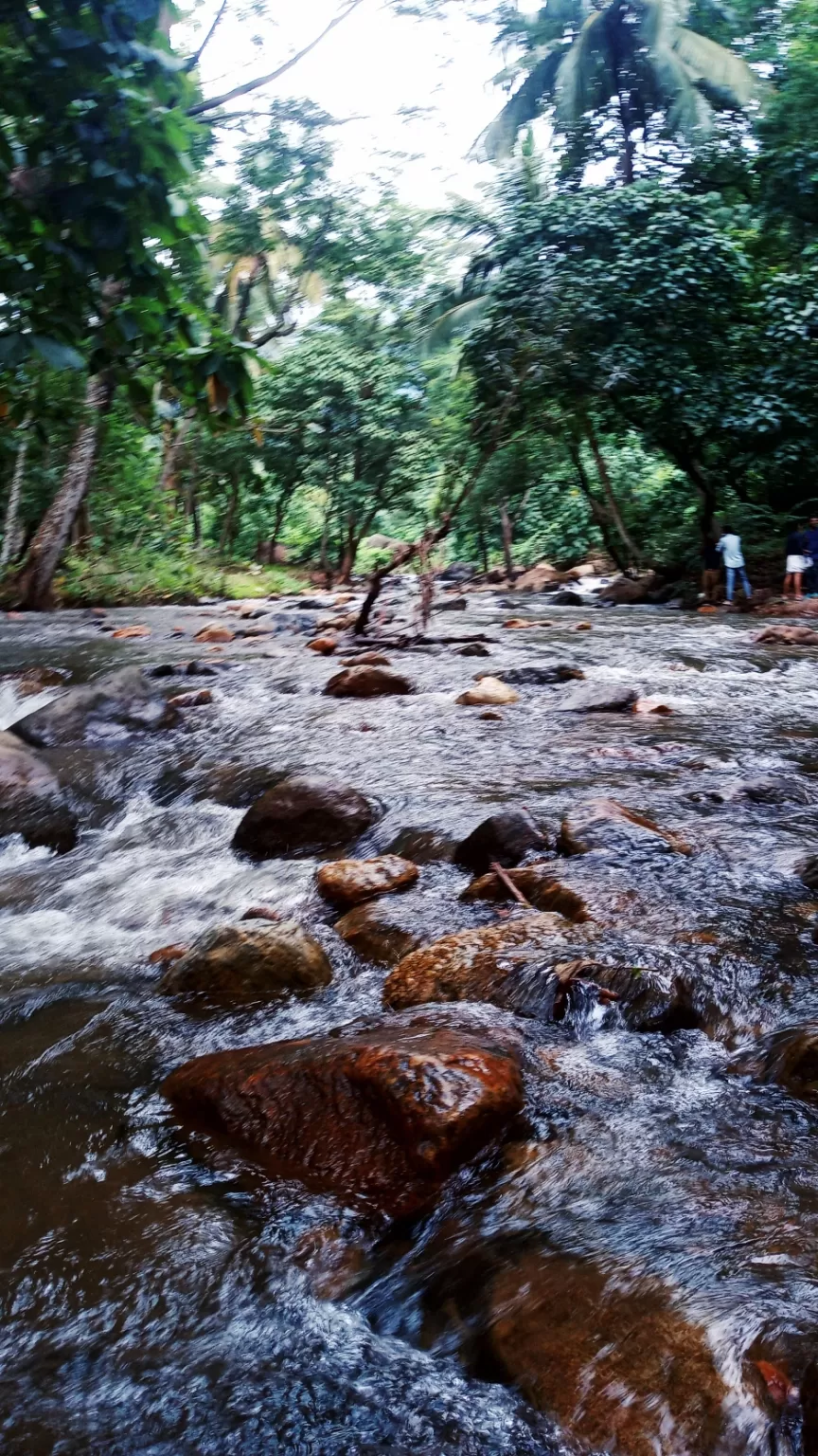 Photo of Malampuzha Dam By Sreeraj K Chandrasekhar