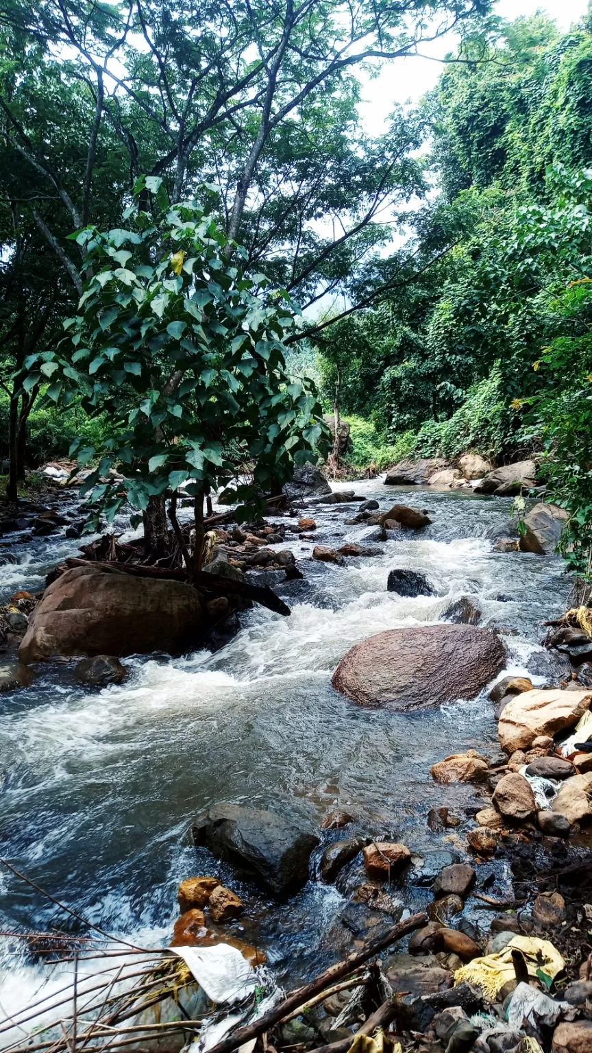 Photo of Malampuzha Dam By Sreeraj K Chandrasekhar