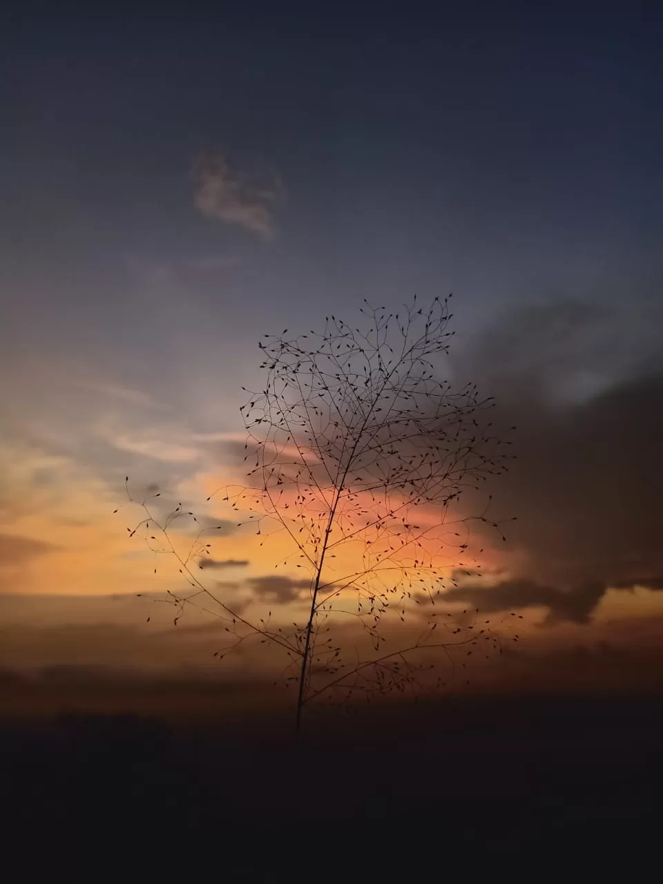 Photo of Amboli By Aditi Karpe