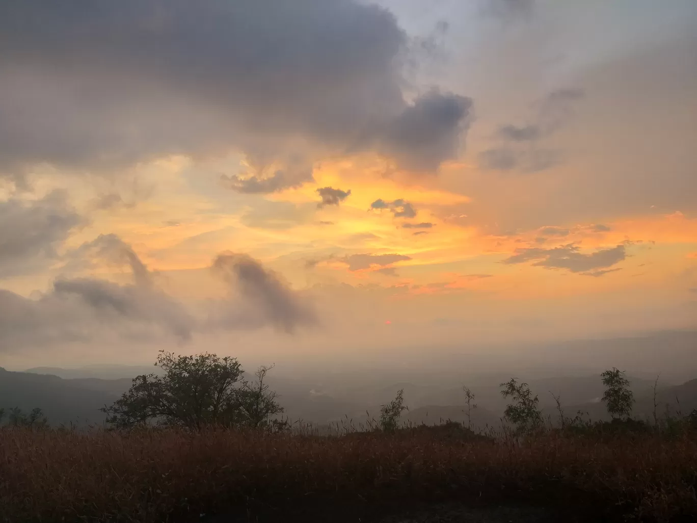 Photo of Amboli By Aditi Karpe
