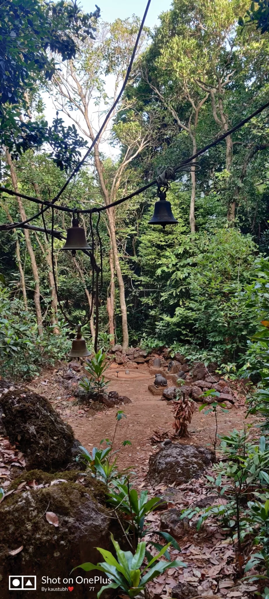 Photo of Amboli By Aditi Karpe