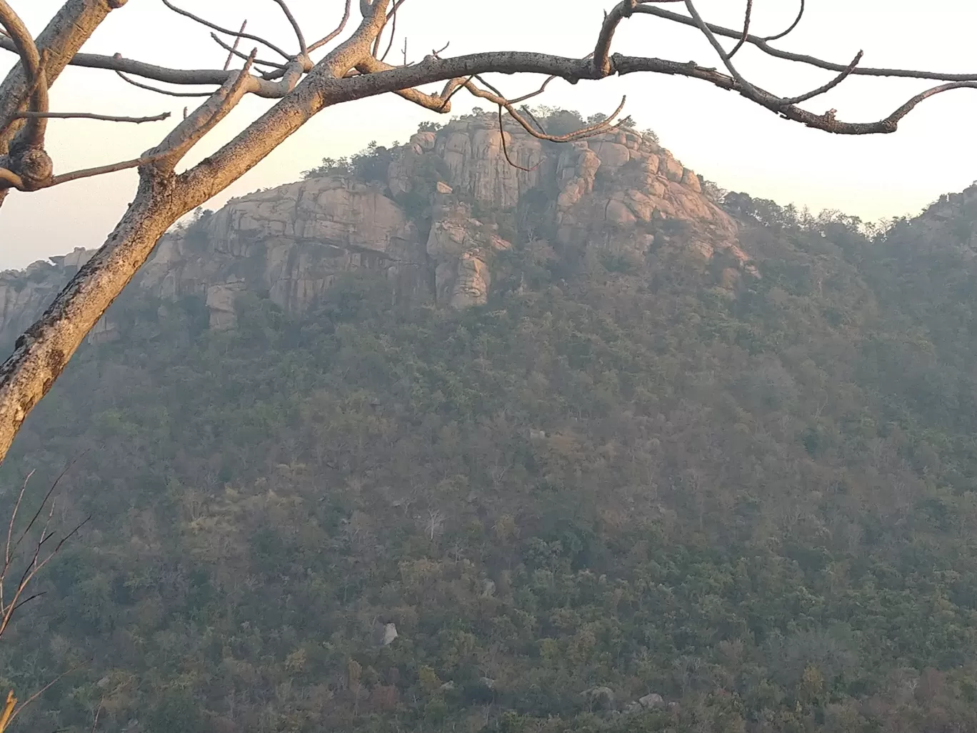 Photo of Mathaburu Camping Ground By Debopriyo Nandi